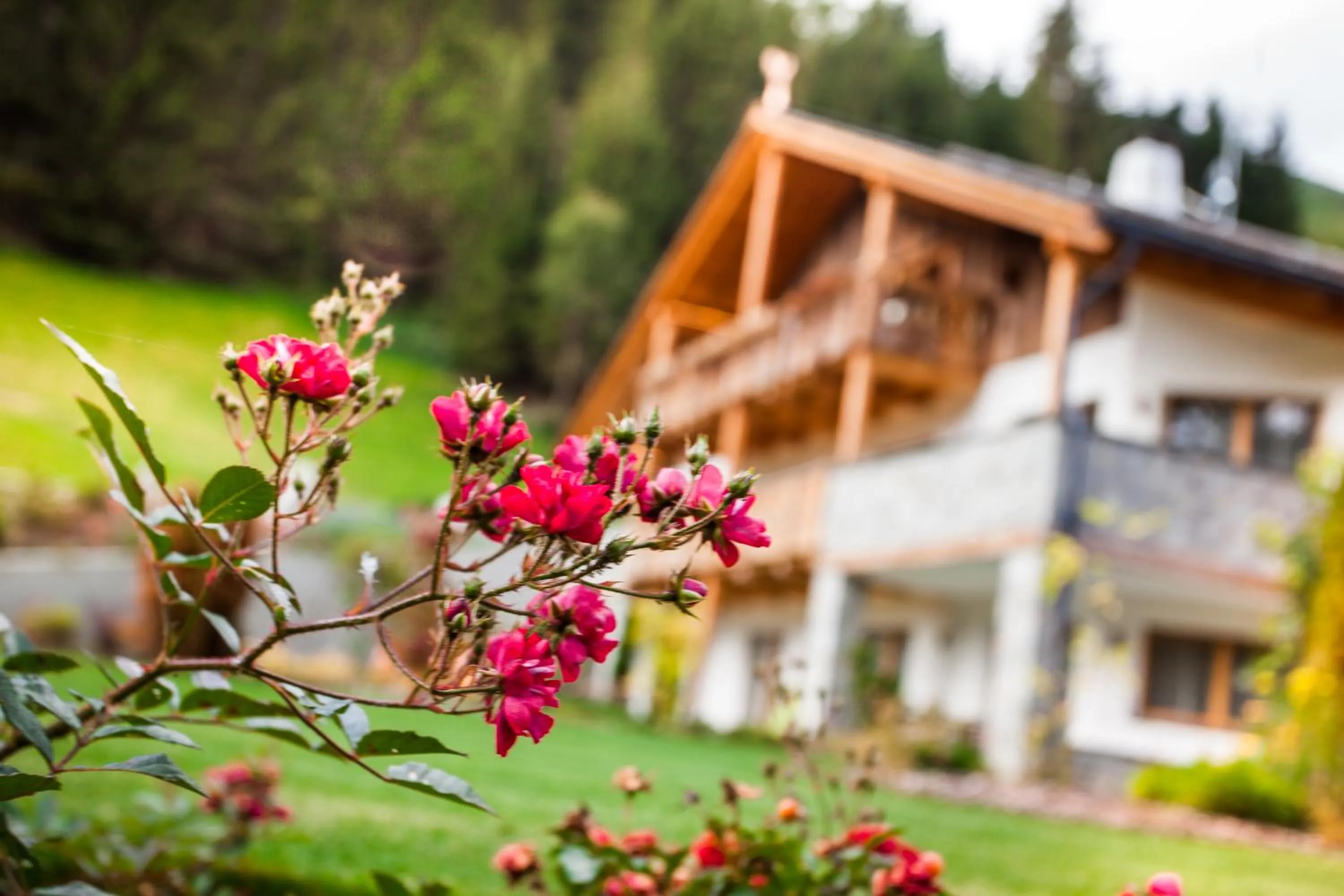 Property building in Alpine Mountain Chalet