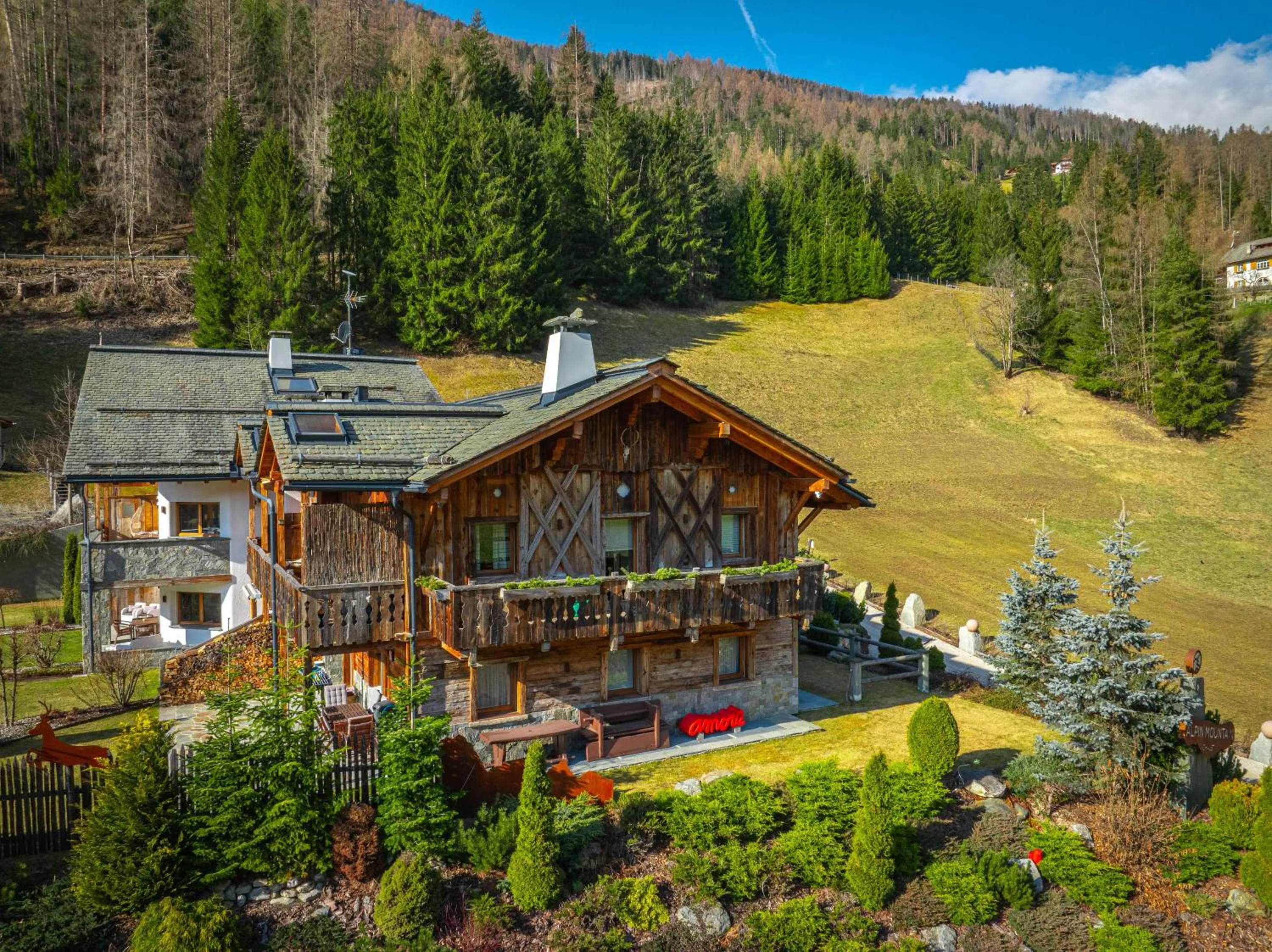 Property building in Alpine Mountain Chalet