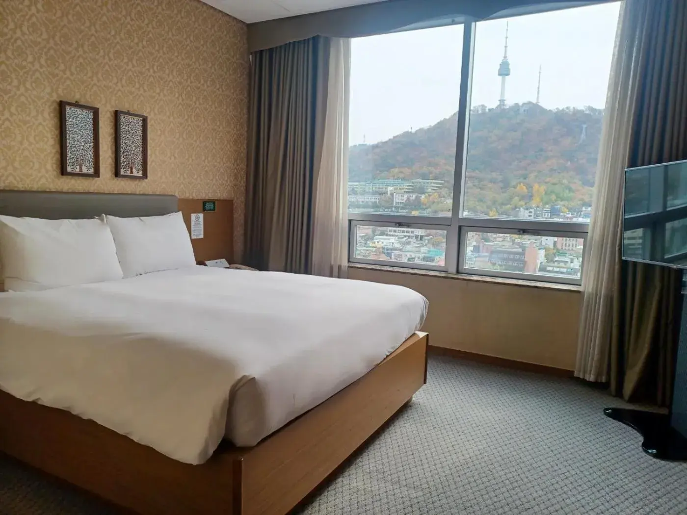 Suite in Migliore Hotel Seoul Myeongdong Suite in Migliore Hotel Seoul Myeongdong