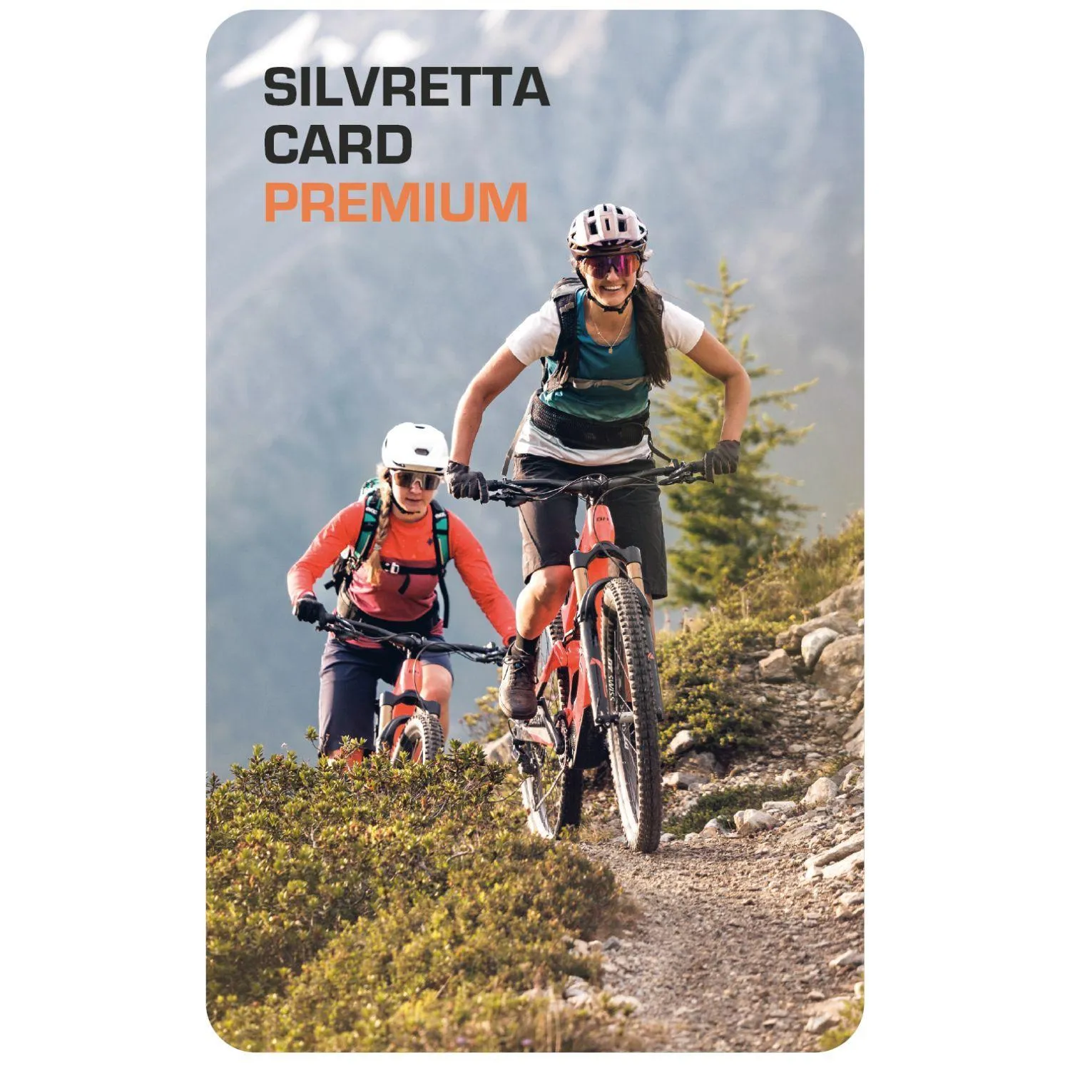 Area and facilities in Hotel Enzian Paznaun