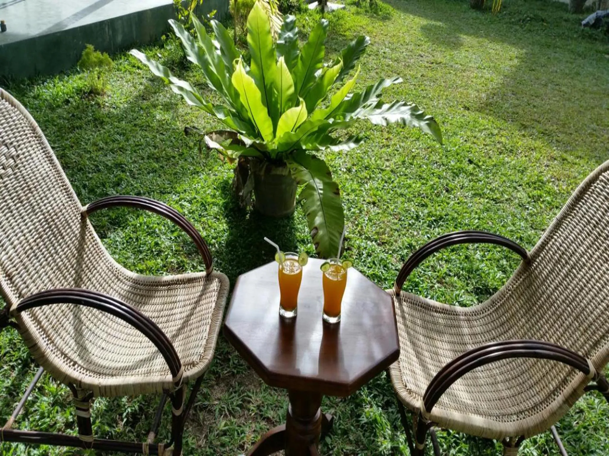 Garden view in Crystal Oceanic