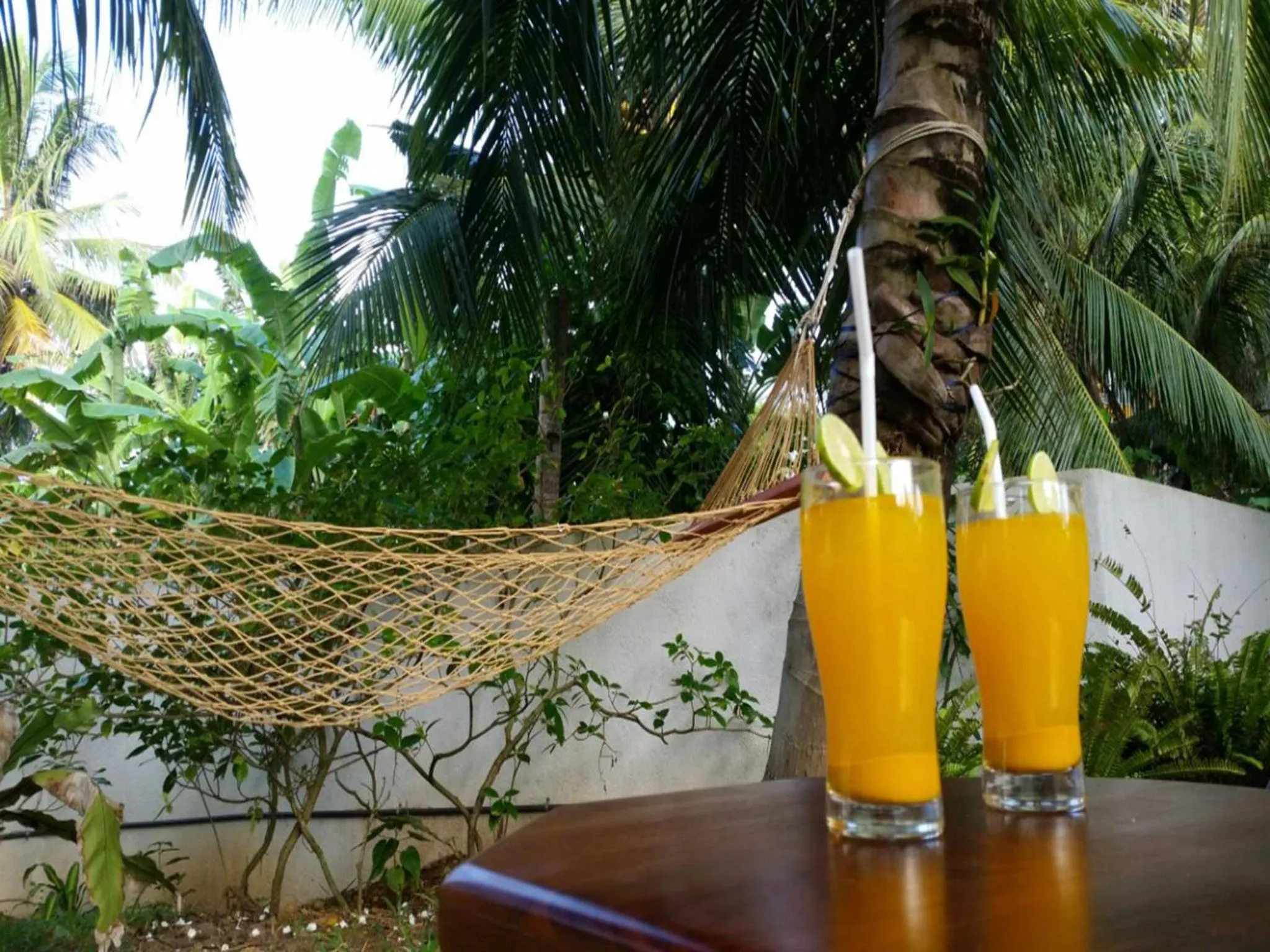 Natural landscape in Crystal Oceanic