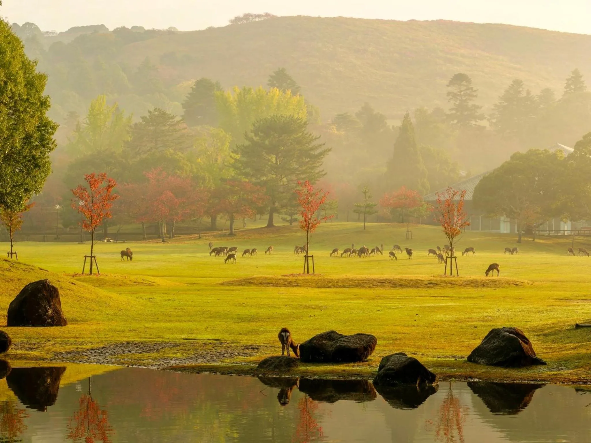 Nearby landmark in VILLA COMMUNICO,Nara