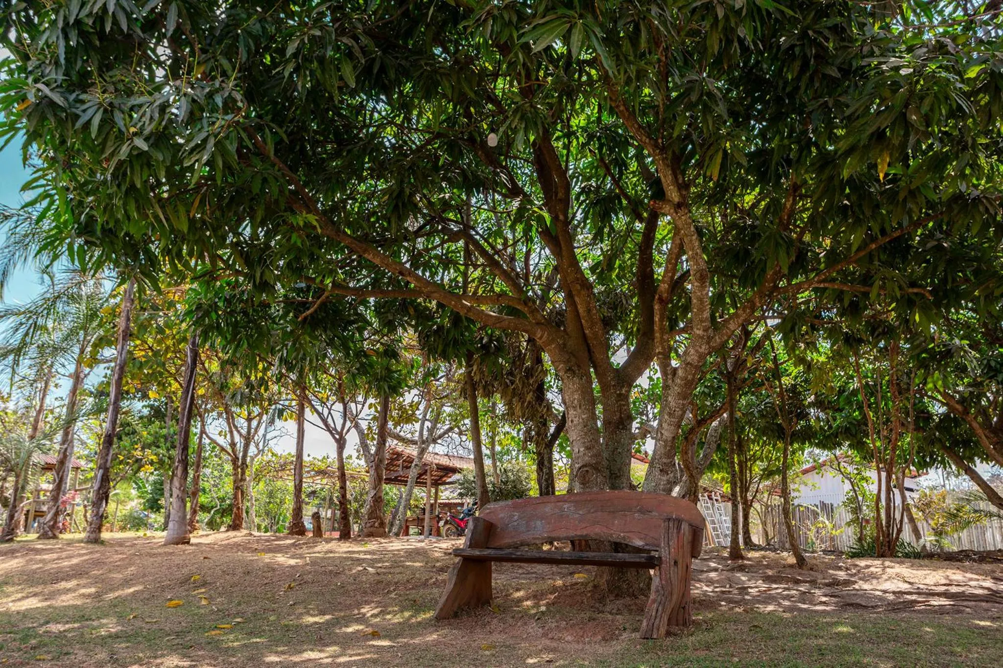 Garden in Pousada Vereda da Serra