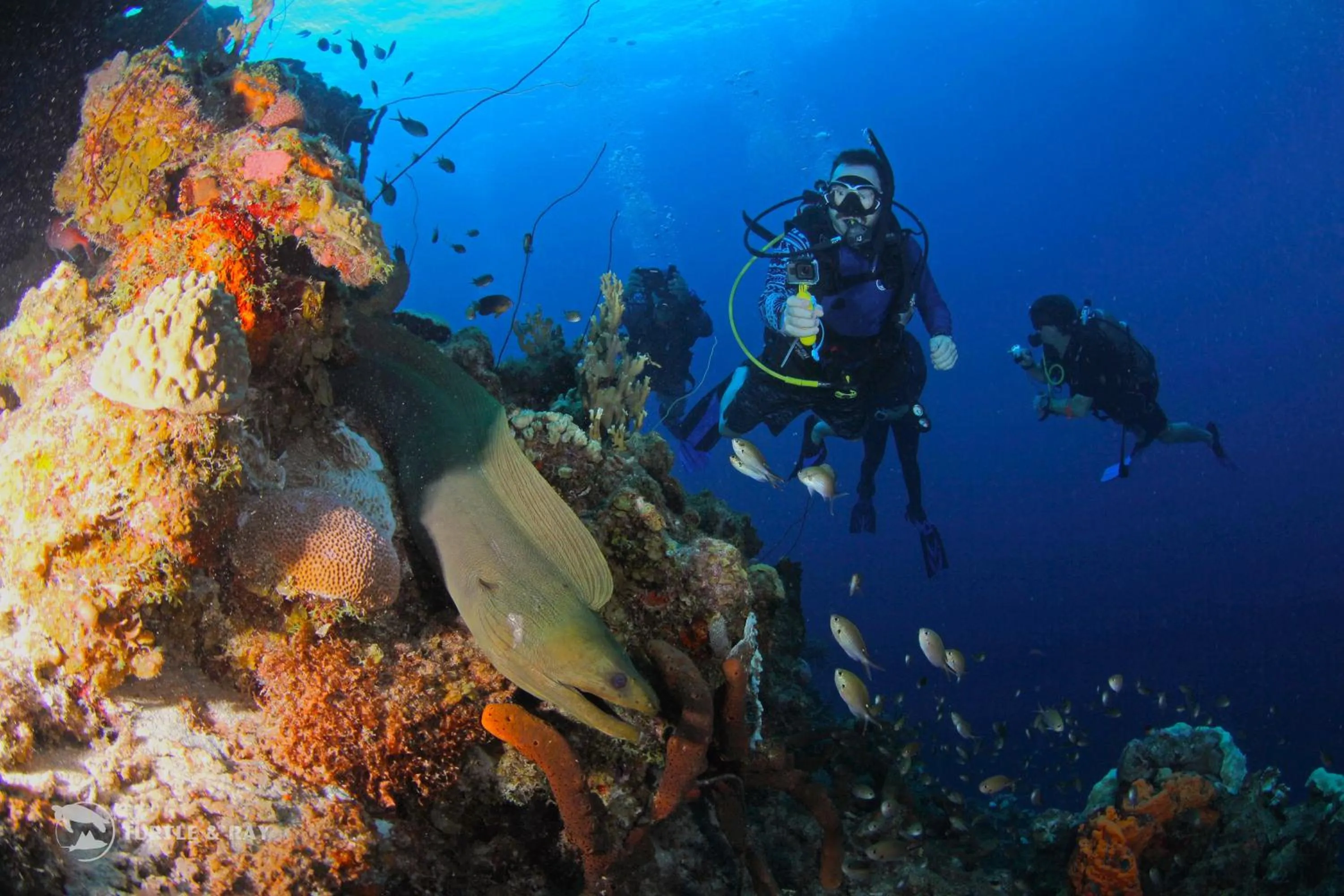 Activities in Lagun Blou Resort - Curacao