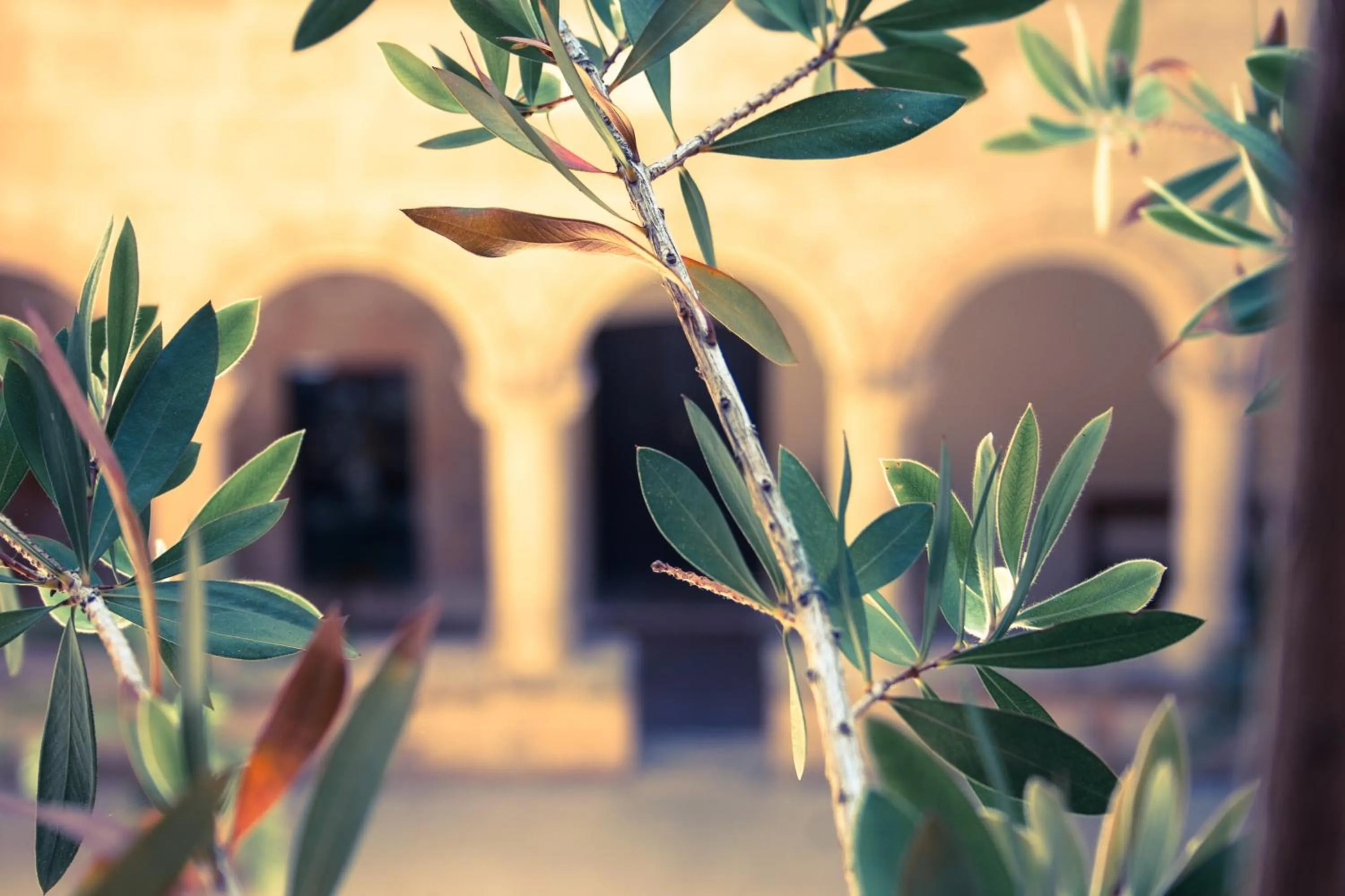 Decorative detail in San Francesco Heritage Hotel