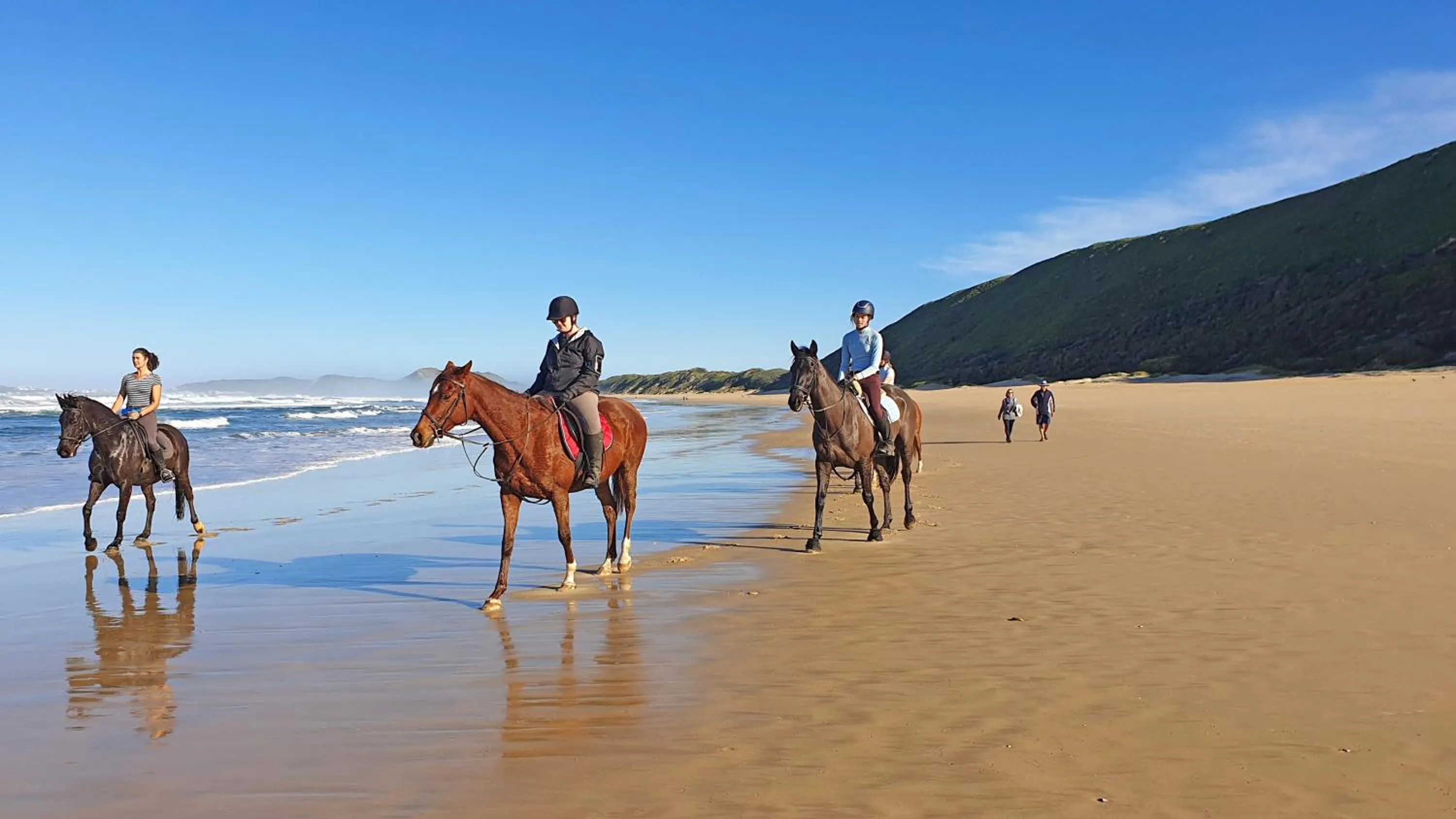 Horse-riding in Brenton Haven Beachfront Resort