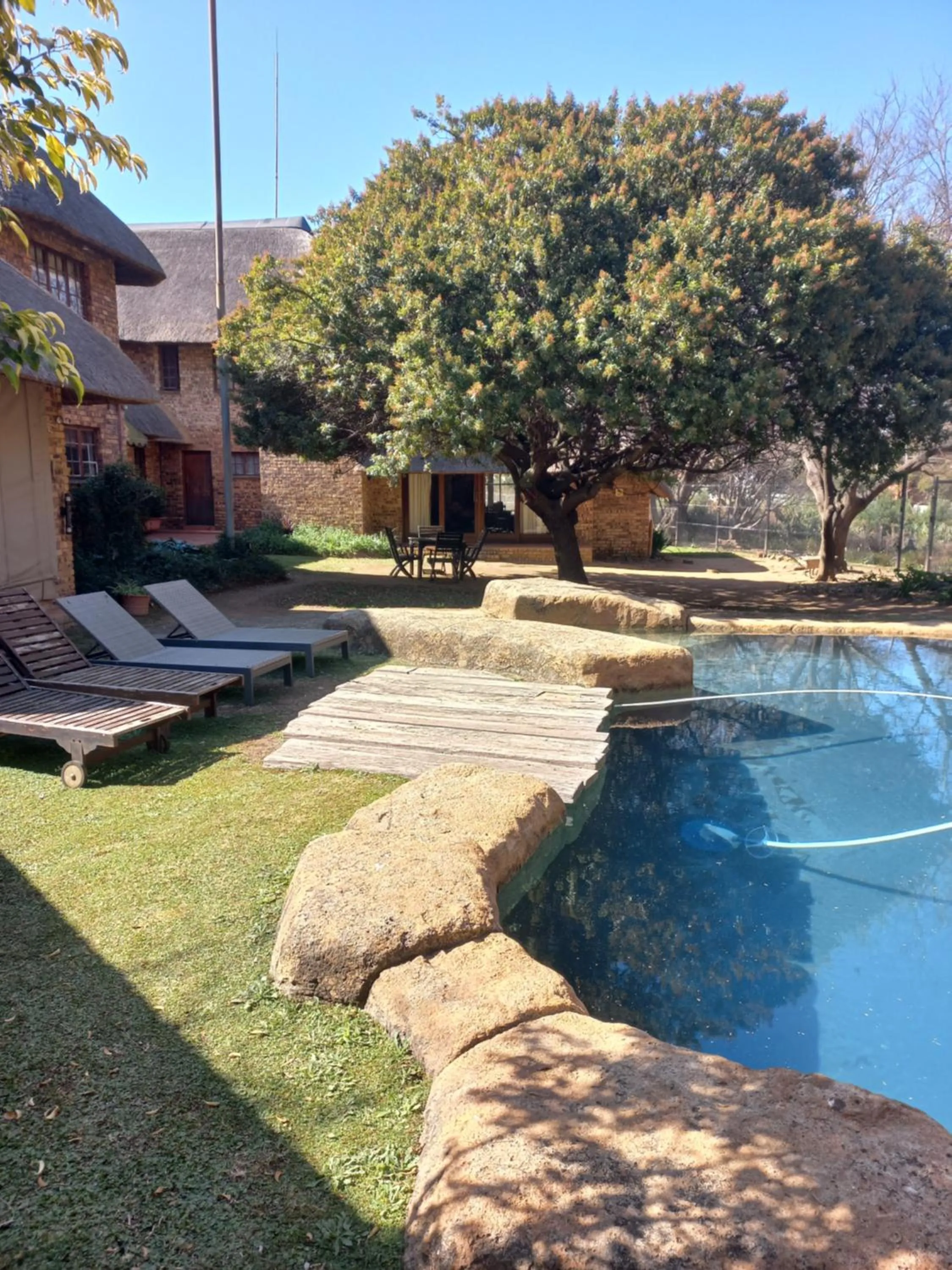 Garden in Khaya Africa Guesthouse