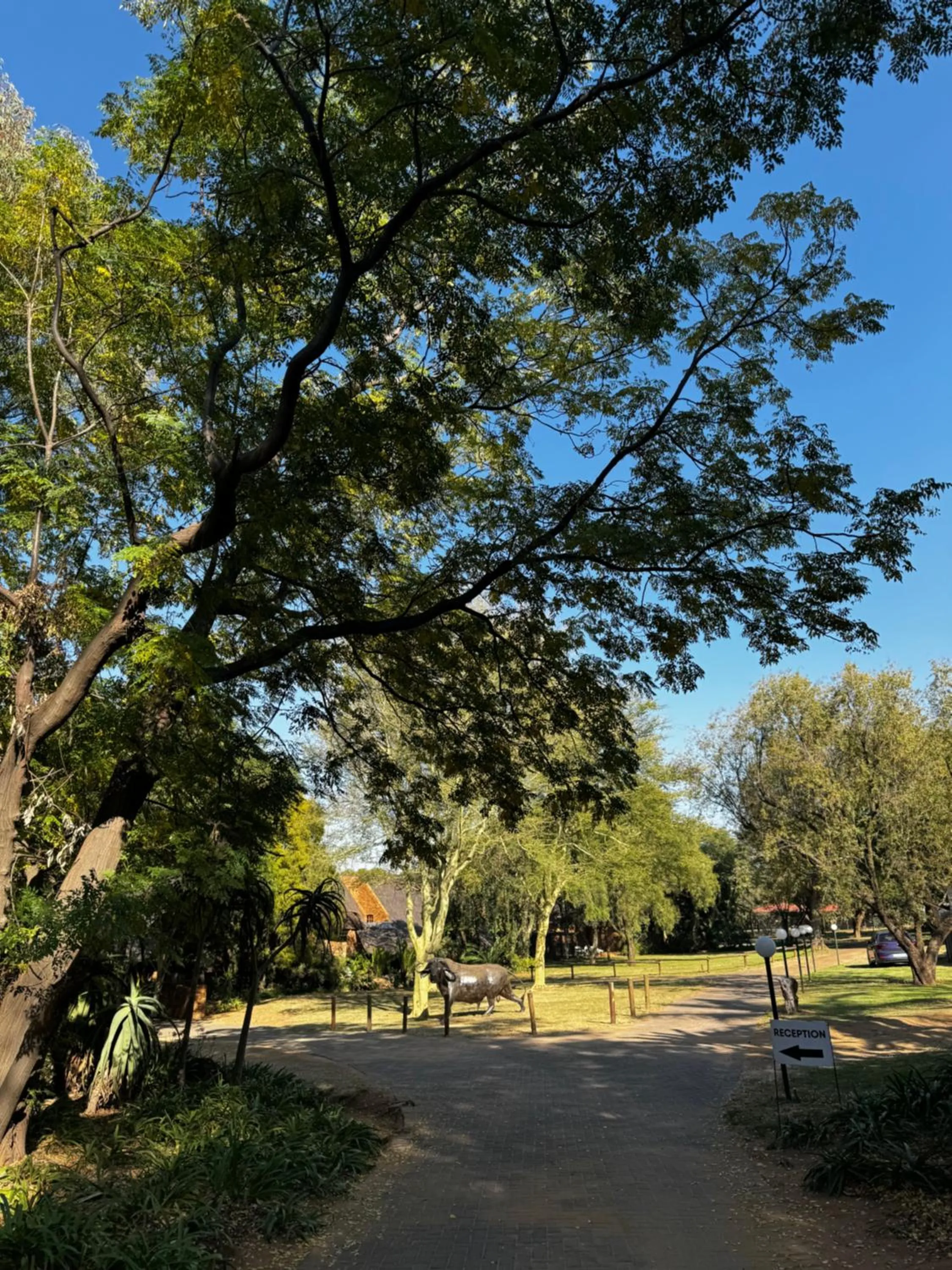 Khaya Africa Guesthouse