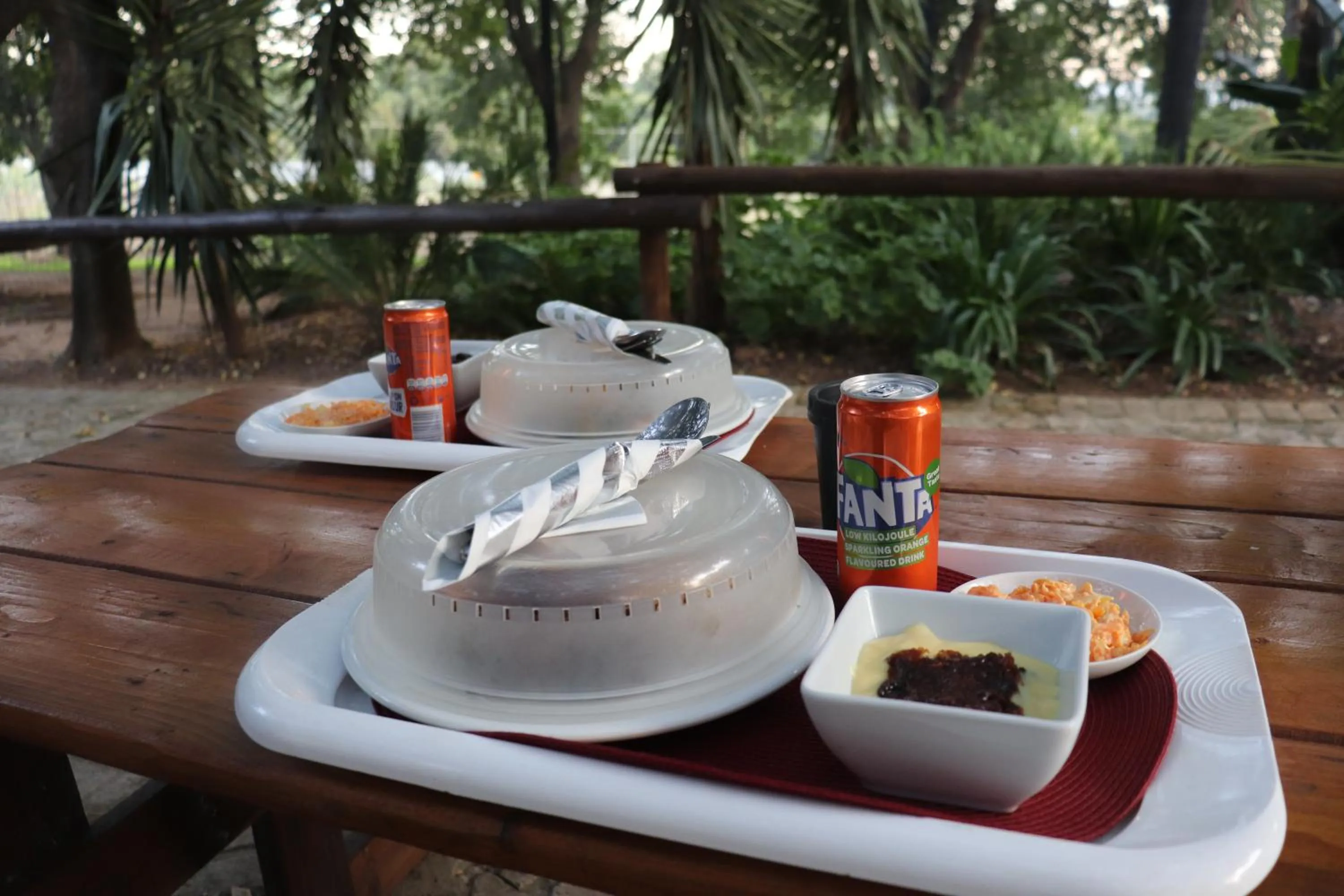 Day in Khaya Africa Guesthouse