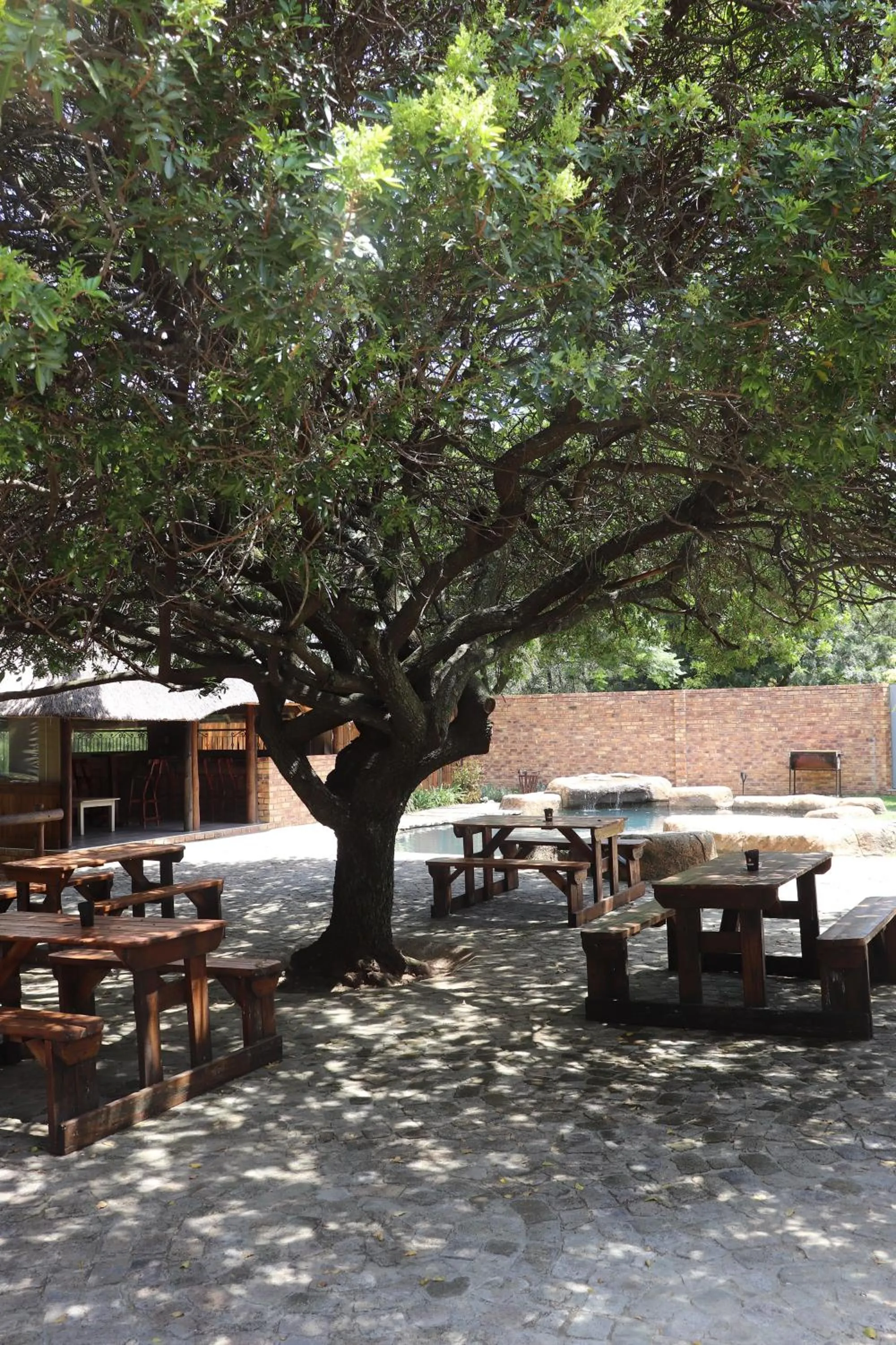 Swimming pool in Khaya Africa Guesthouse