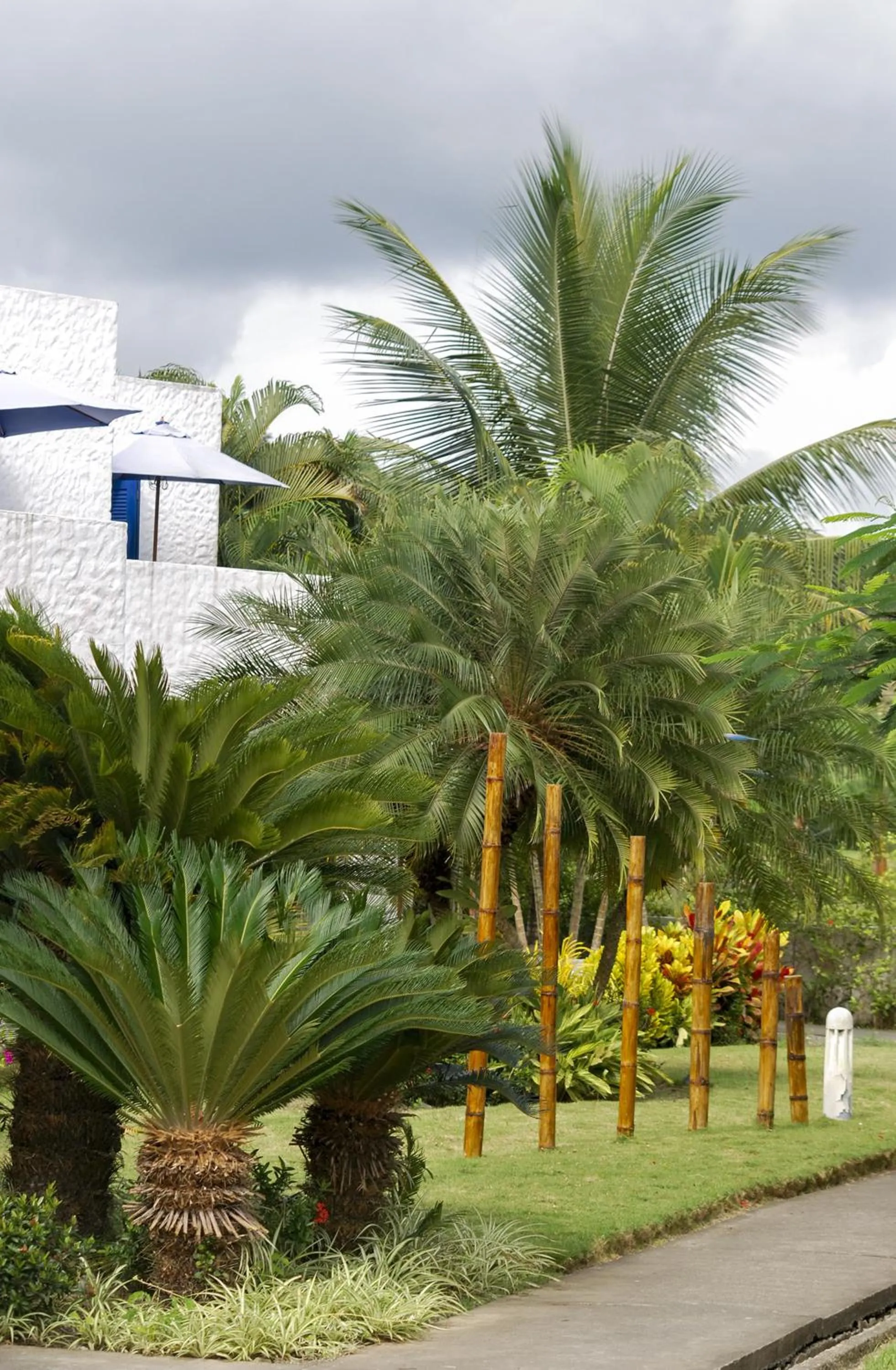 Garden in Hotel Green 9 & Beach Resort Casablanca