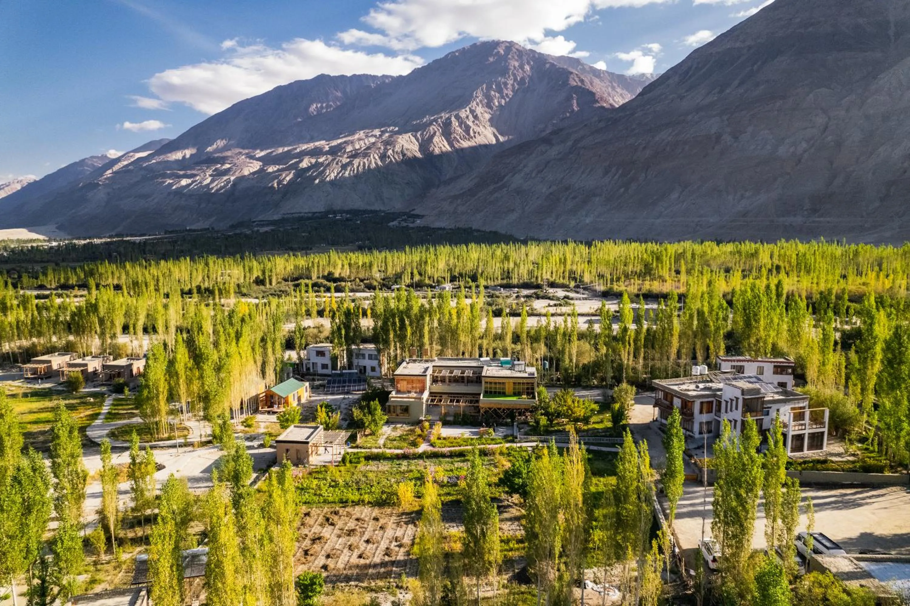 Garden view in Nubra Ecolodge