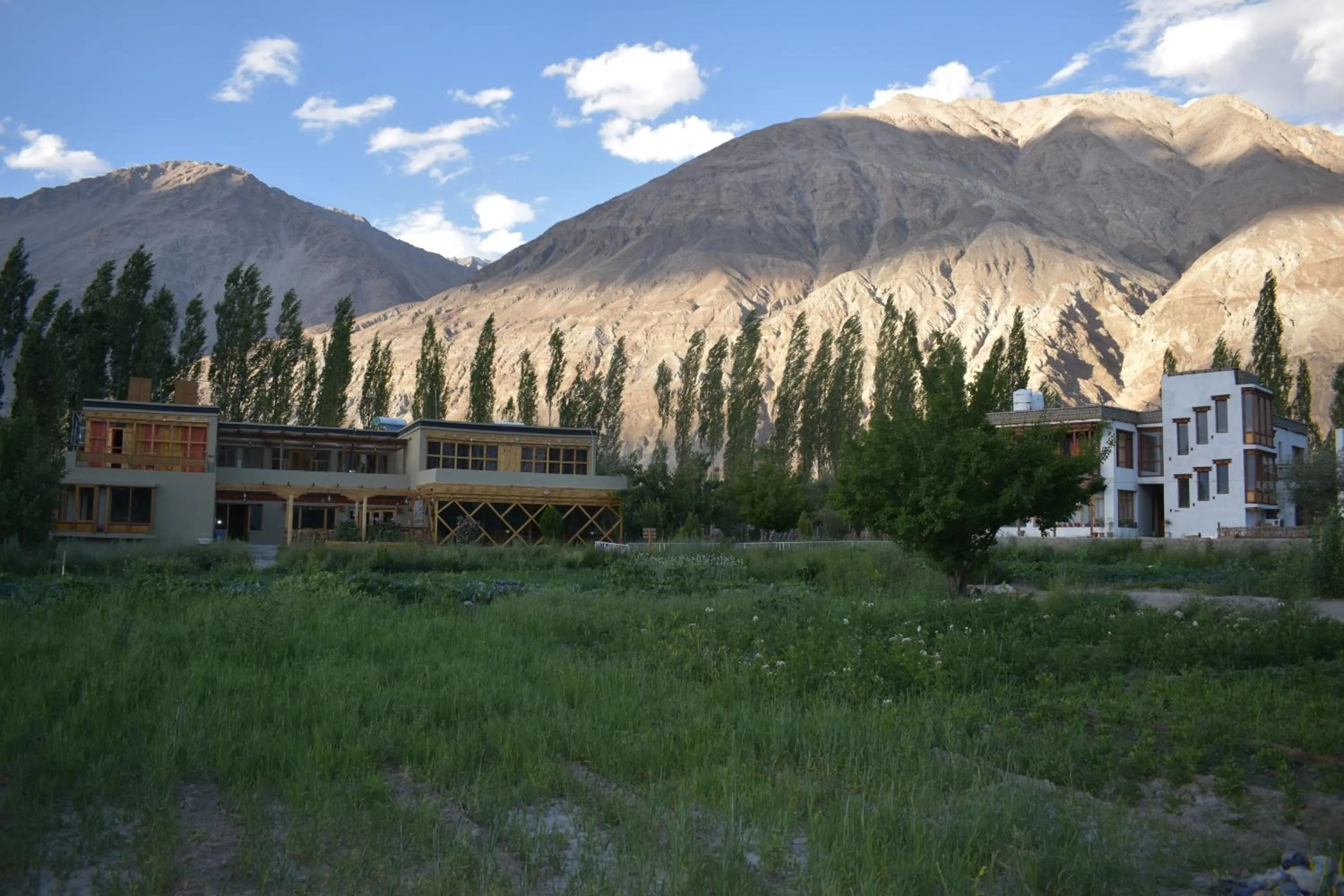 Property building in Nubra Ecolodge