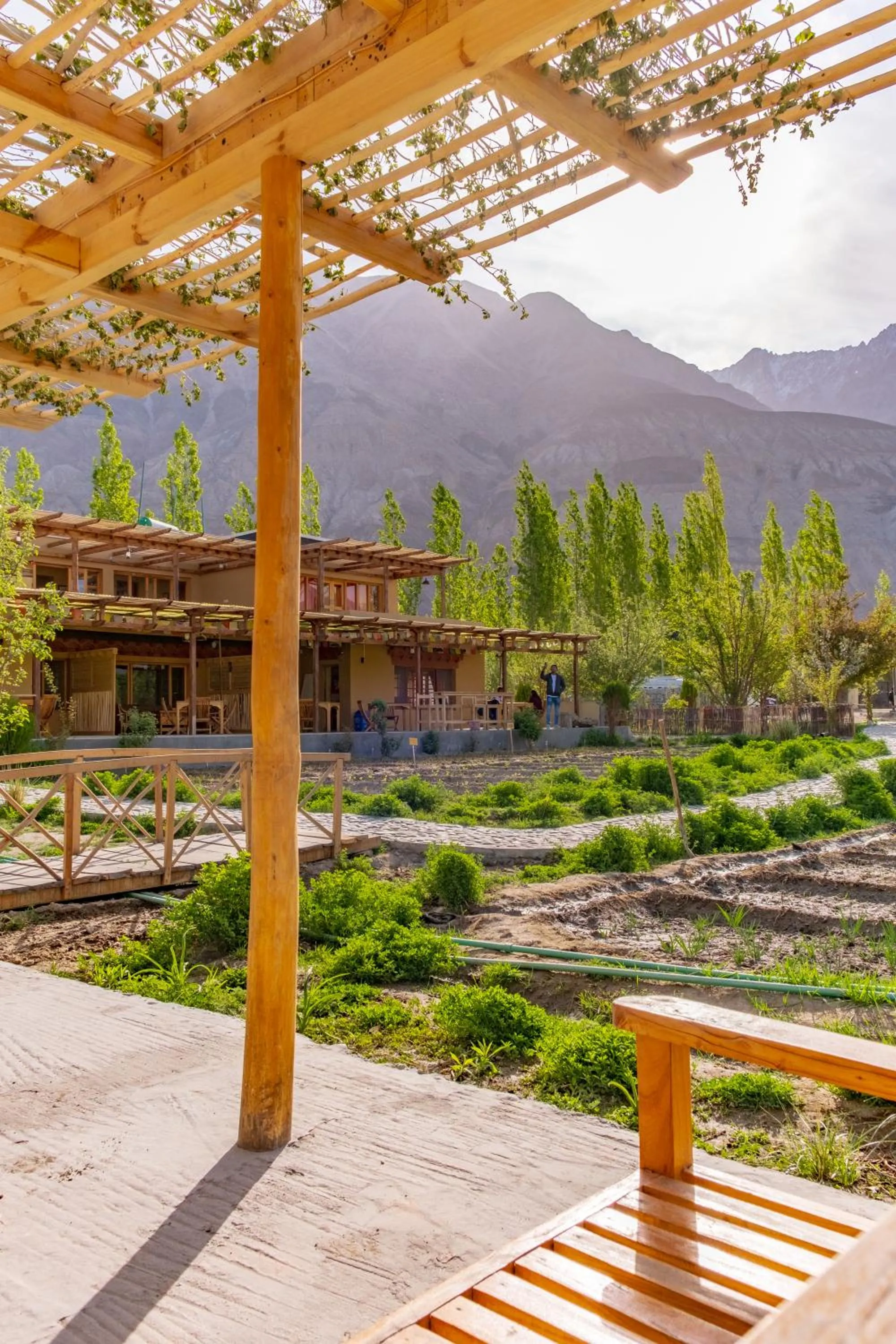 Property building in Nubra Ecolodge