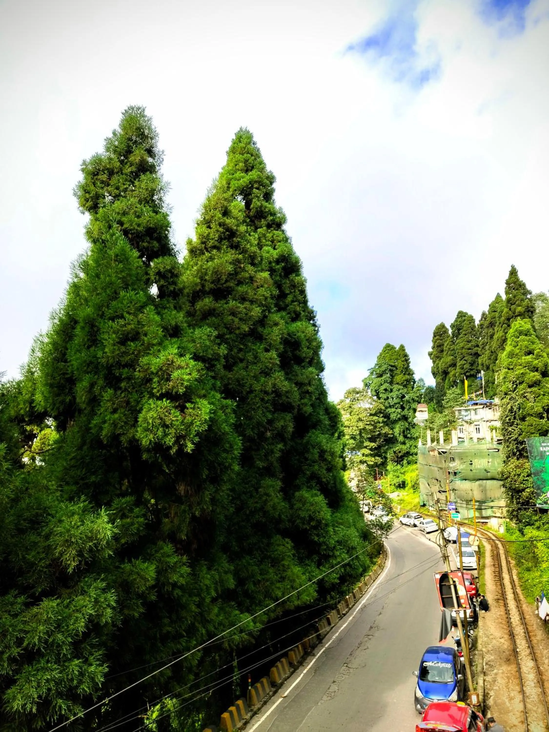 Natural landscape in Hidden Monkey Stays Darjeeling, Batasia