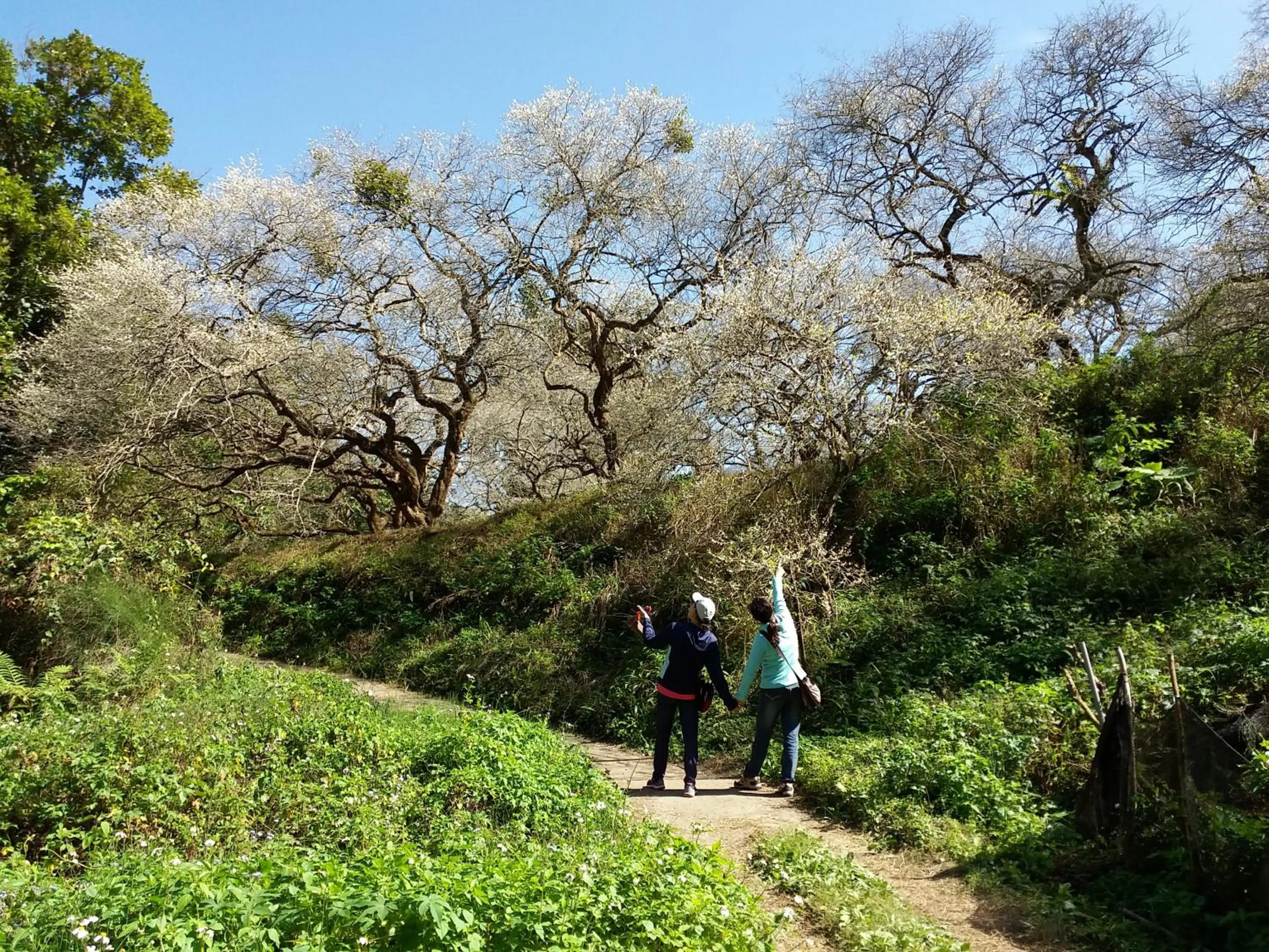 Winter in Bestime B&B