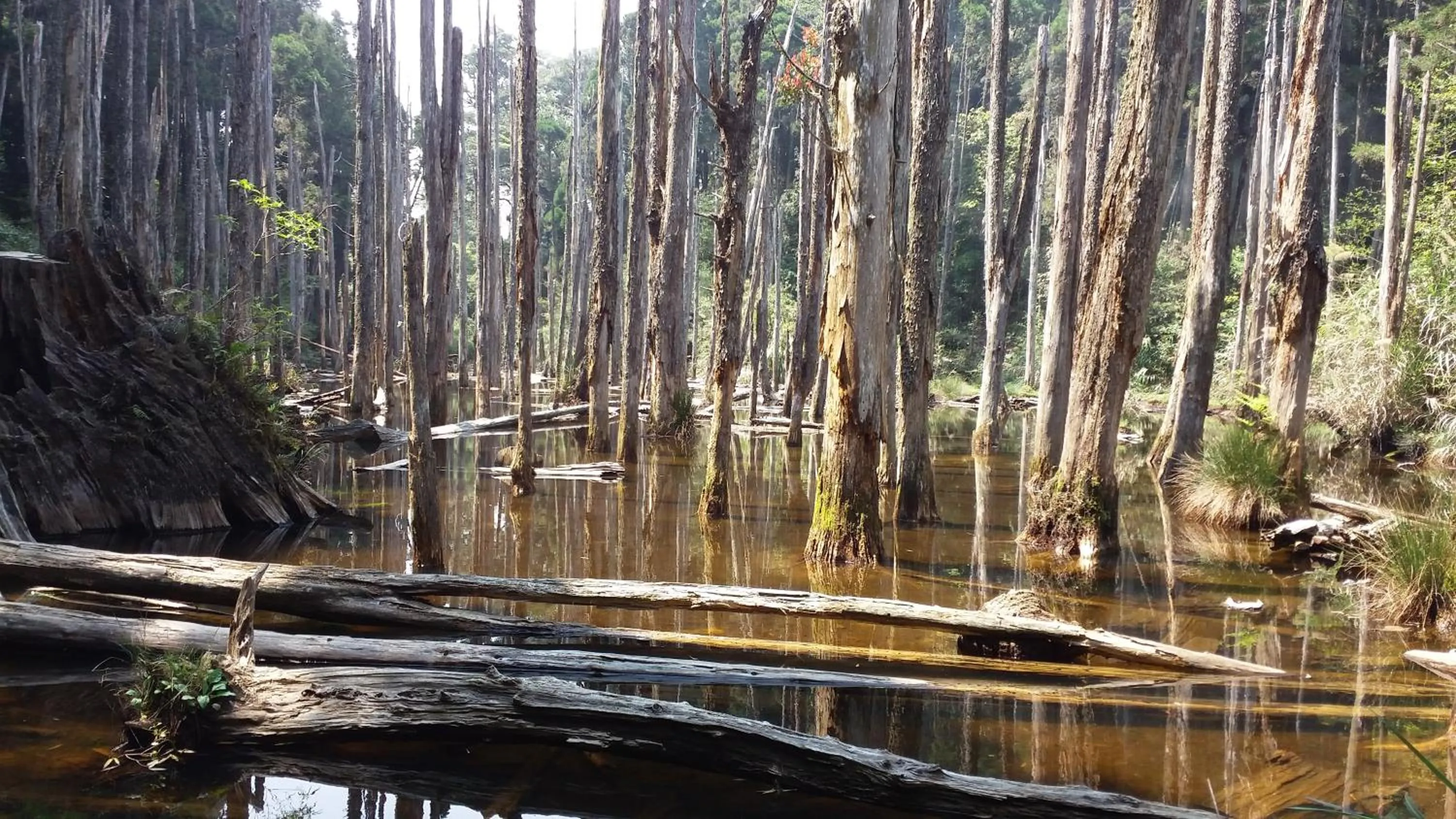 Nearby landmark in Bestime B&B