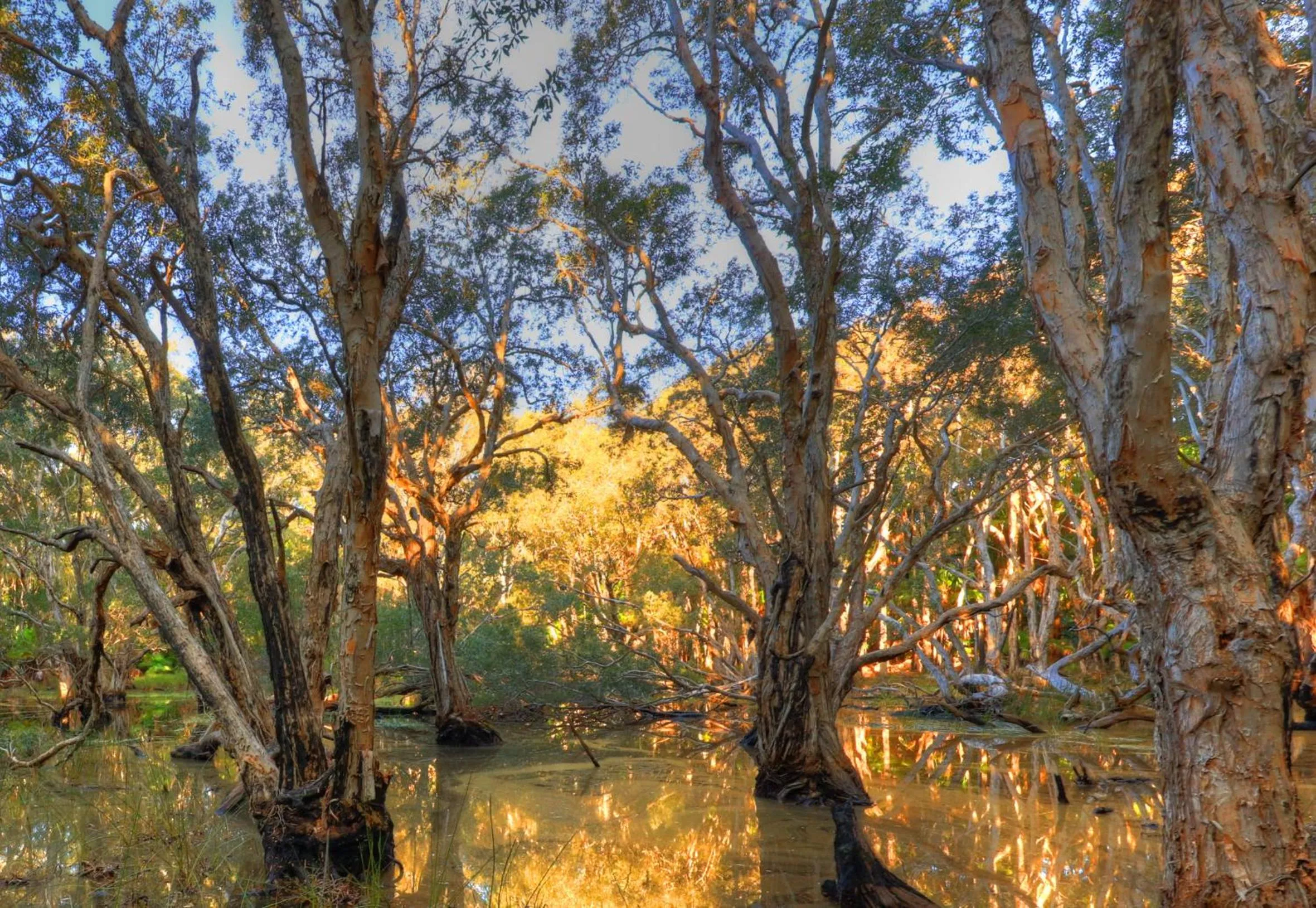 Area and facilities in NRMA South West Rocks Holiday Park