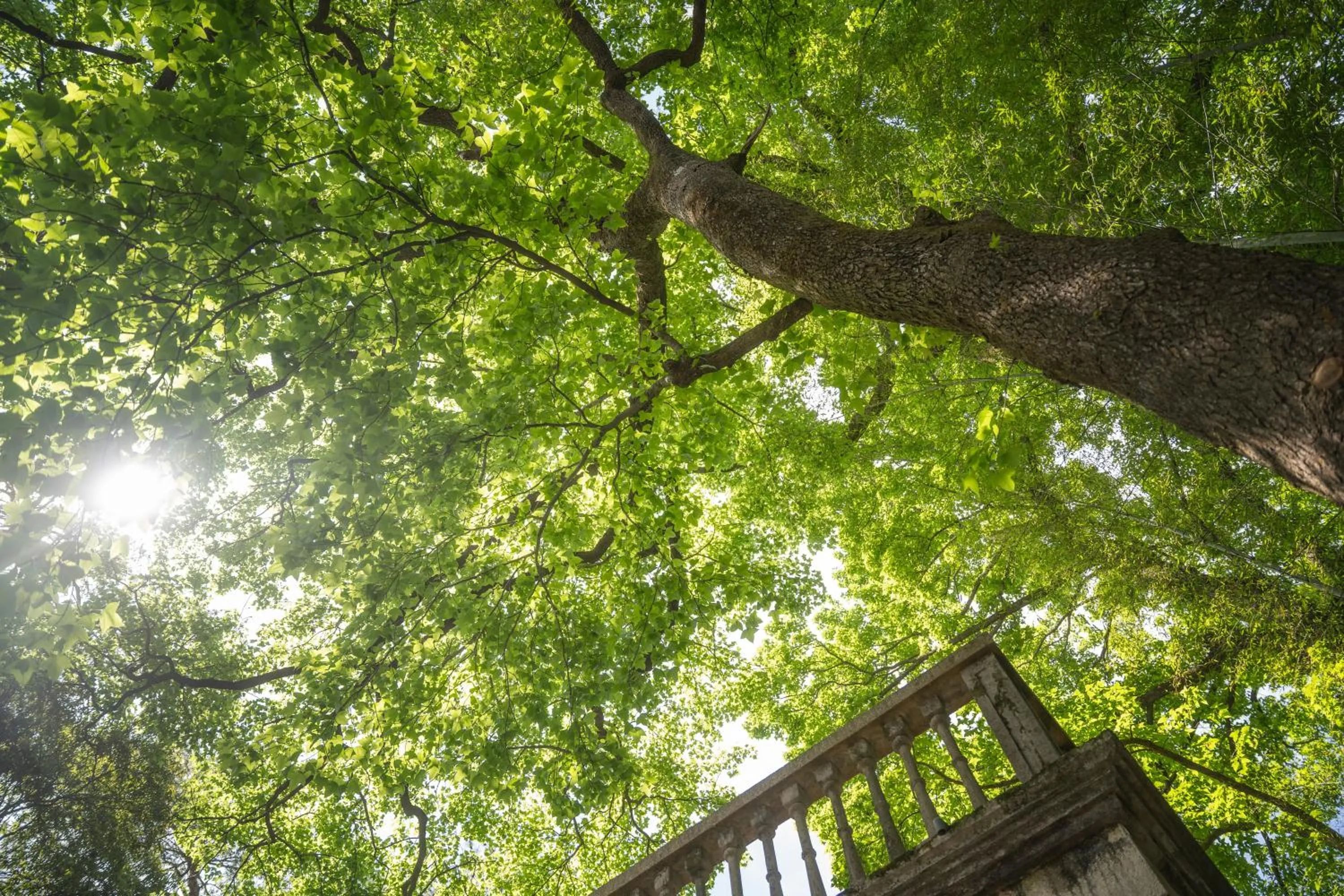 SSAW Garden Hotel Ningbo Xikou