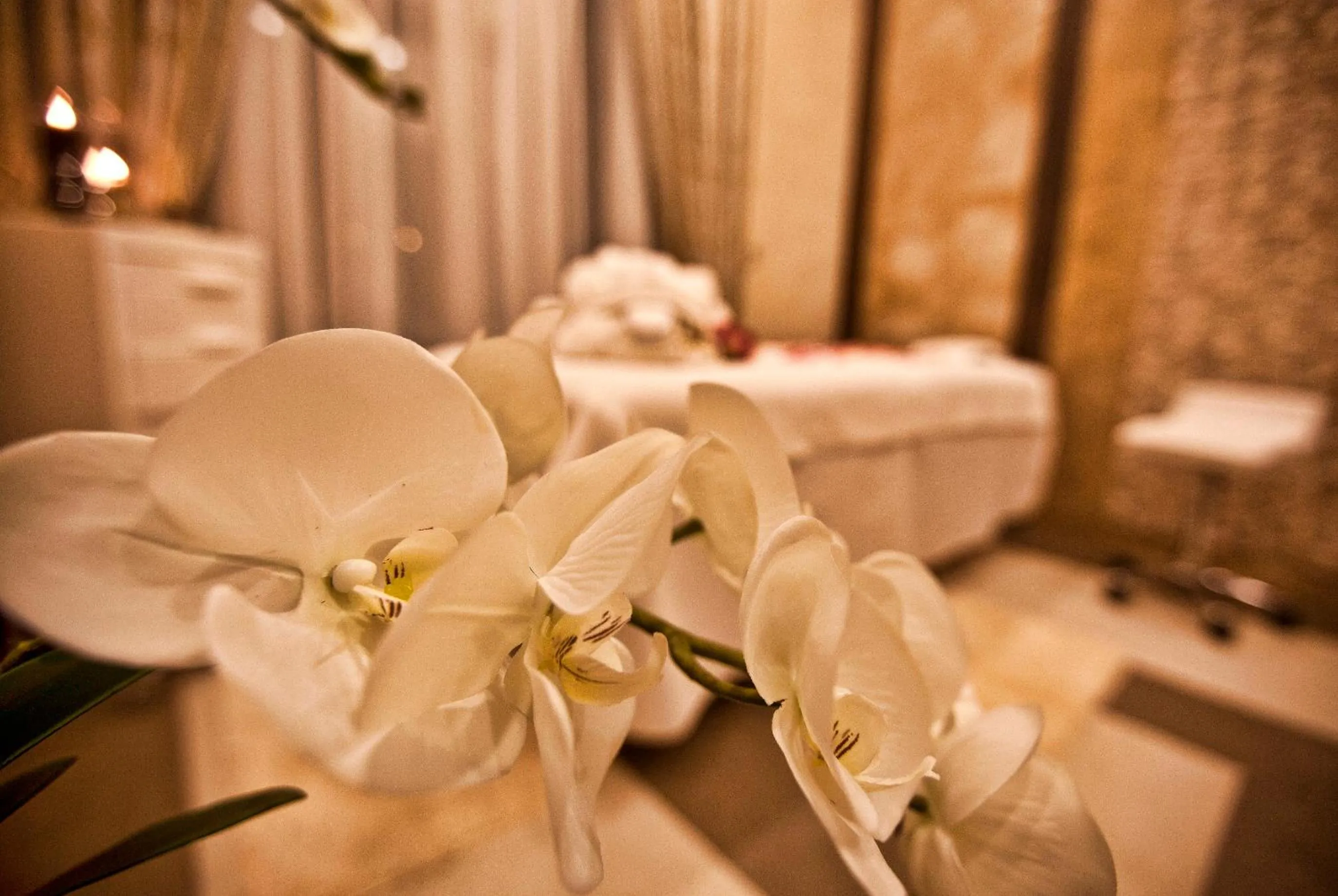 Spa and wellness centre/facilities, Bed in Multi Grand Pharaon Hotel