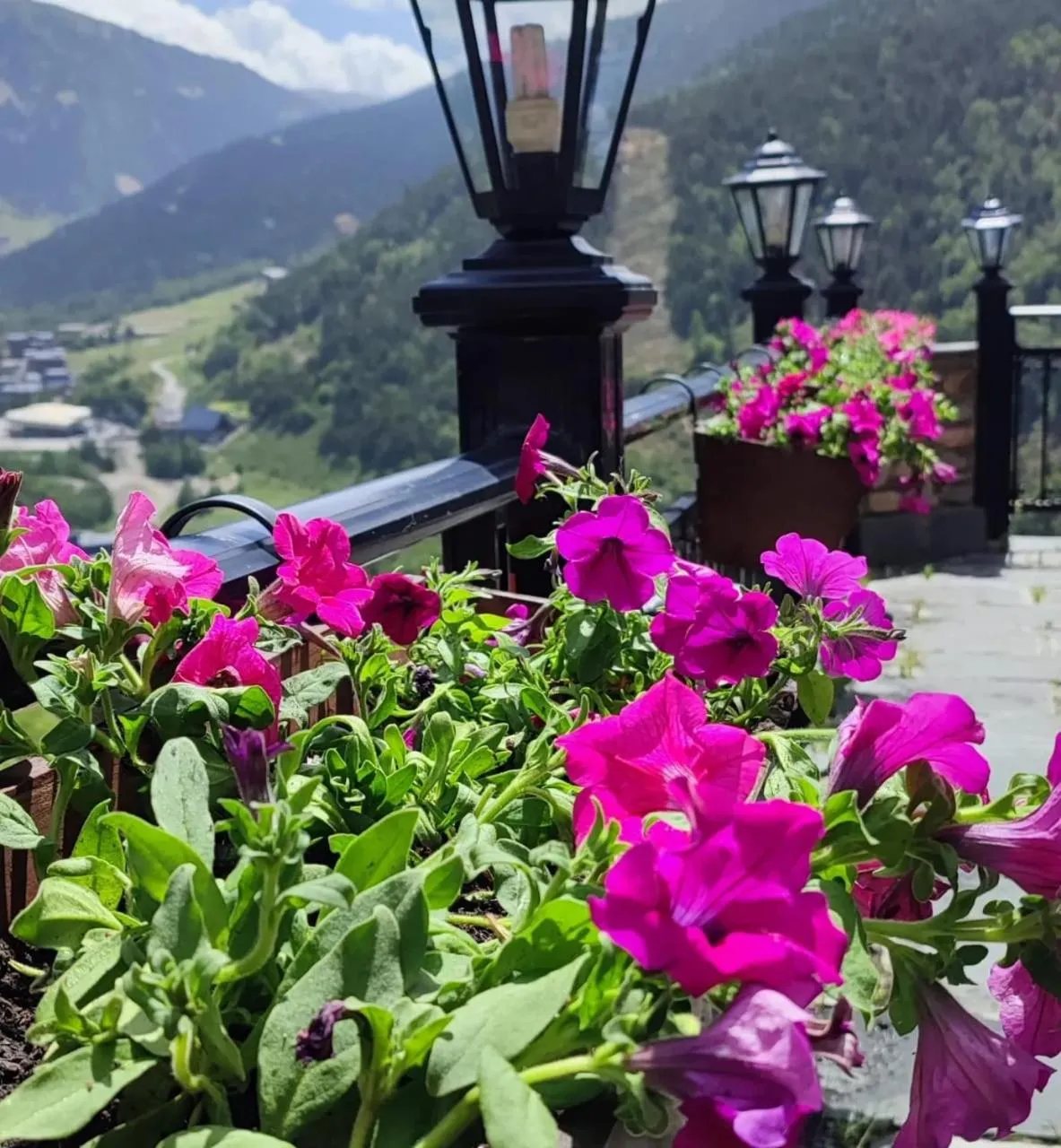 Balcony/Terrace in Hotel Ransol