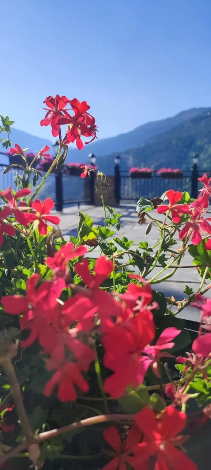 Garden in Hotel Ransol