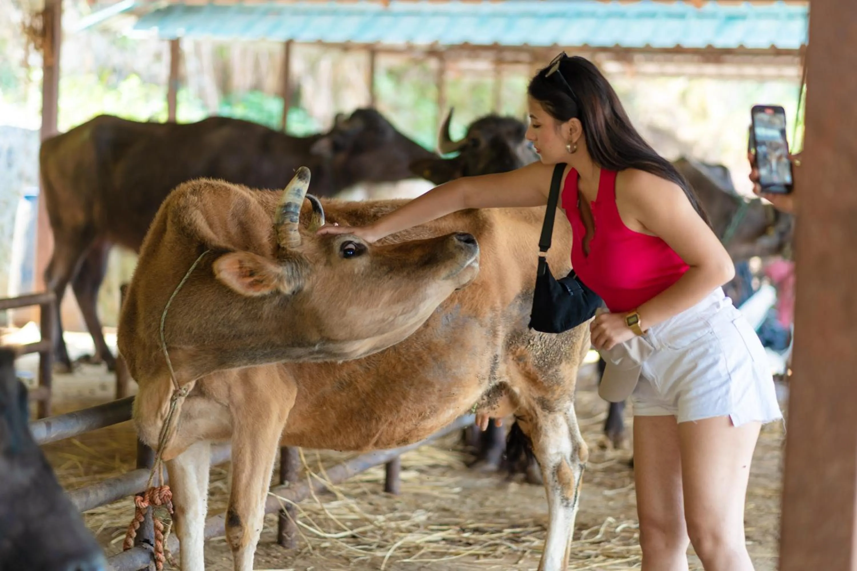 Spring in Rupakot Resort