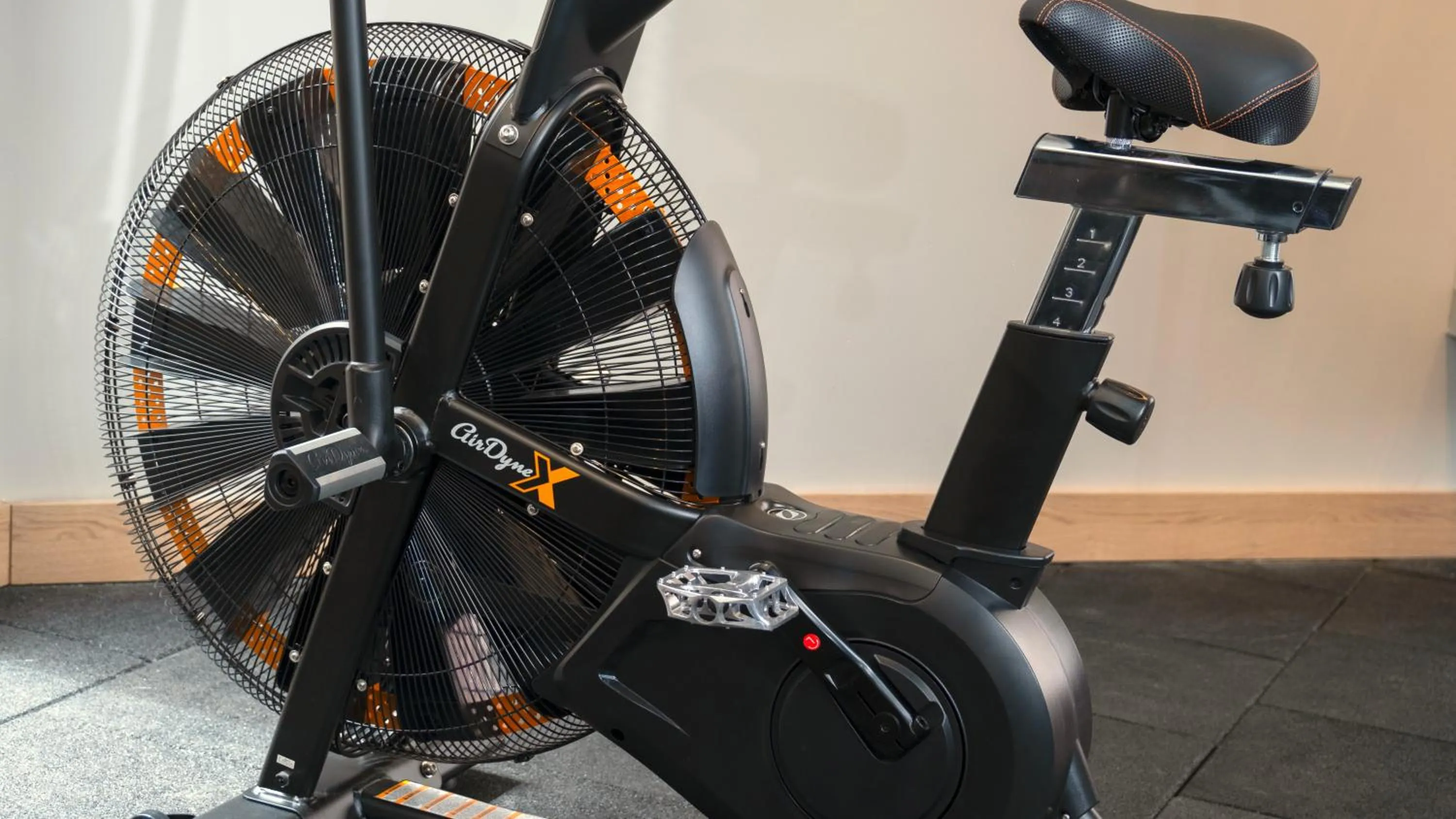 Sports in Kleopatra Dreams Beach Hotel