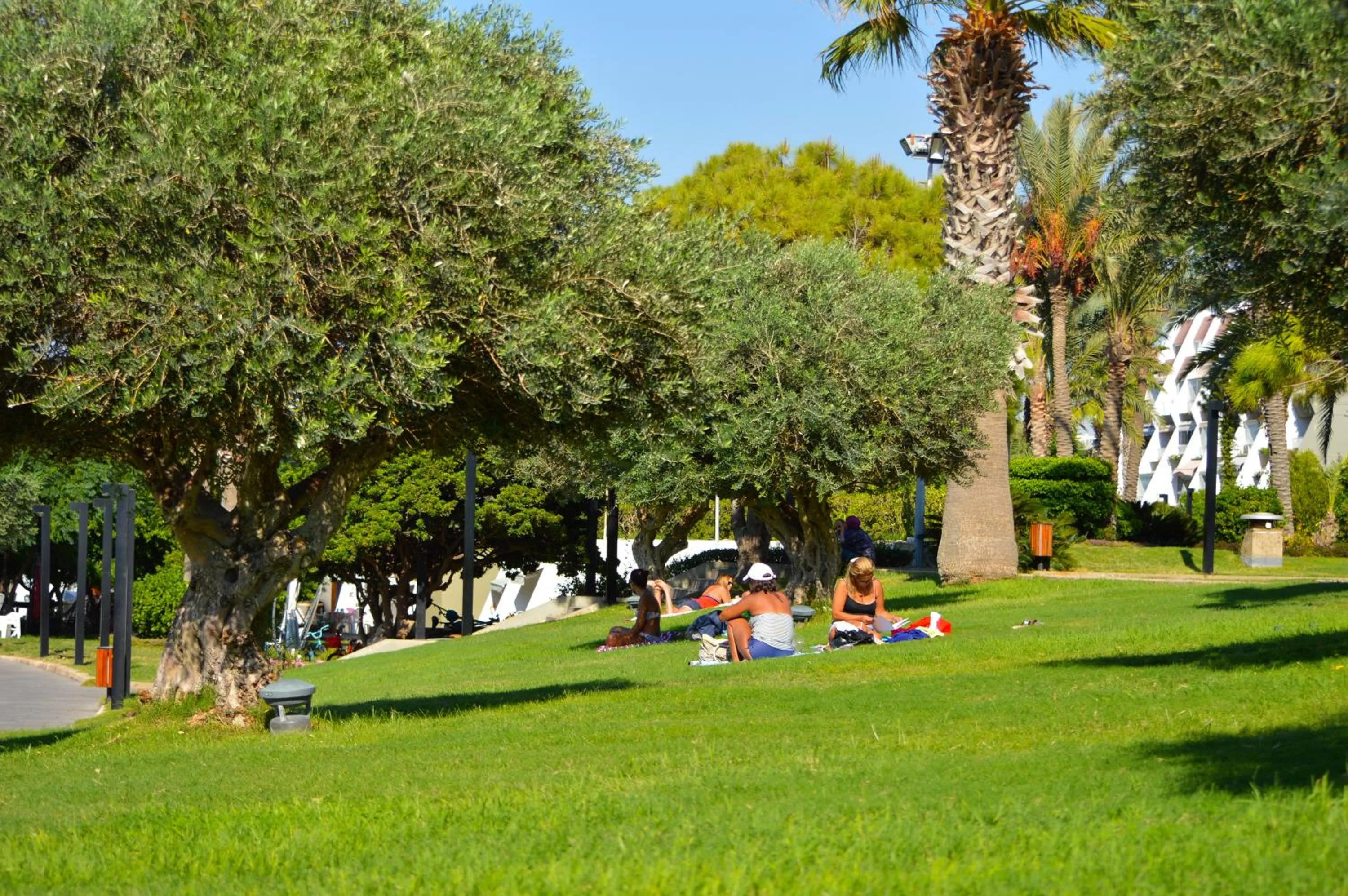 Garden in Miramar Hotel Resort and Spa