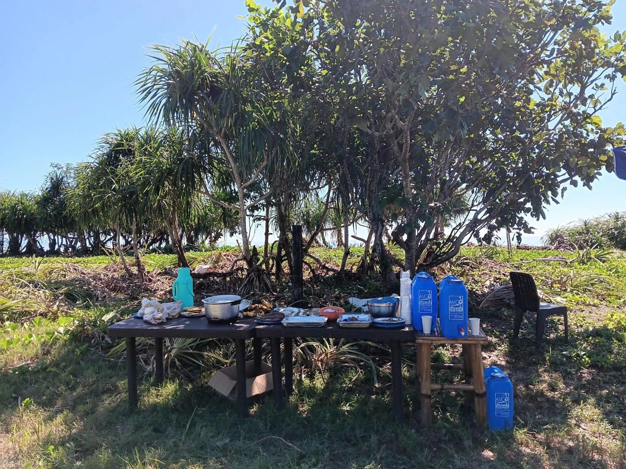 The Waves at Socorro Baler- Hotel A