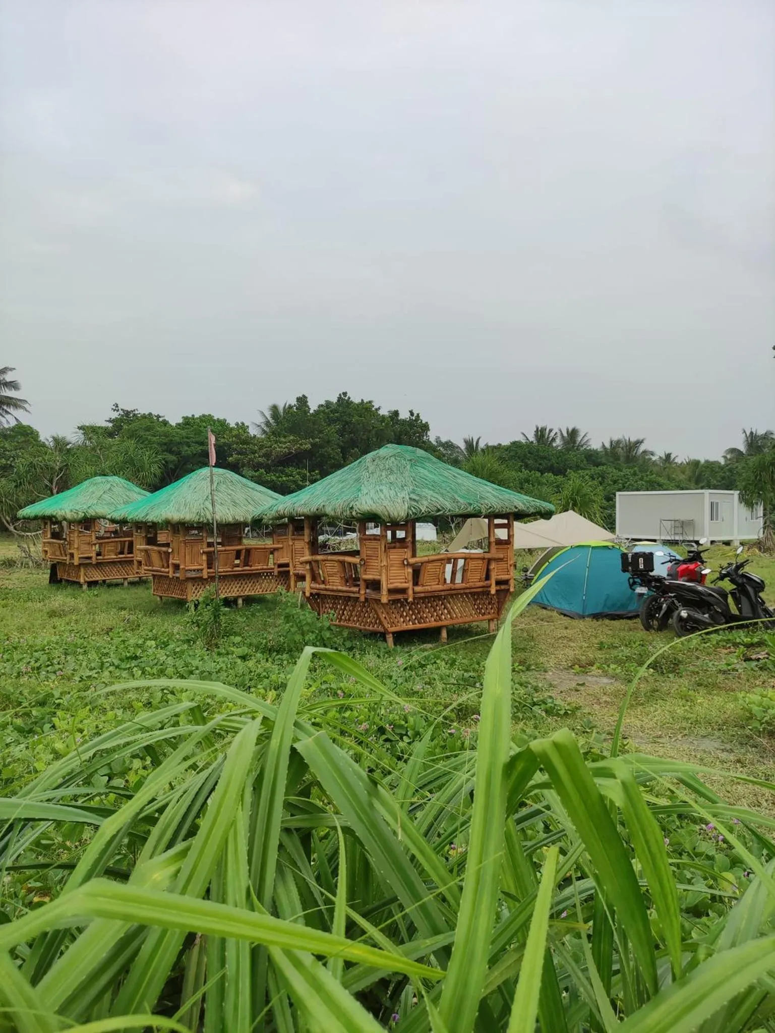 The Waves at Socorro Baler- Hotel A