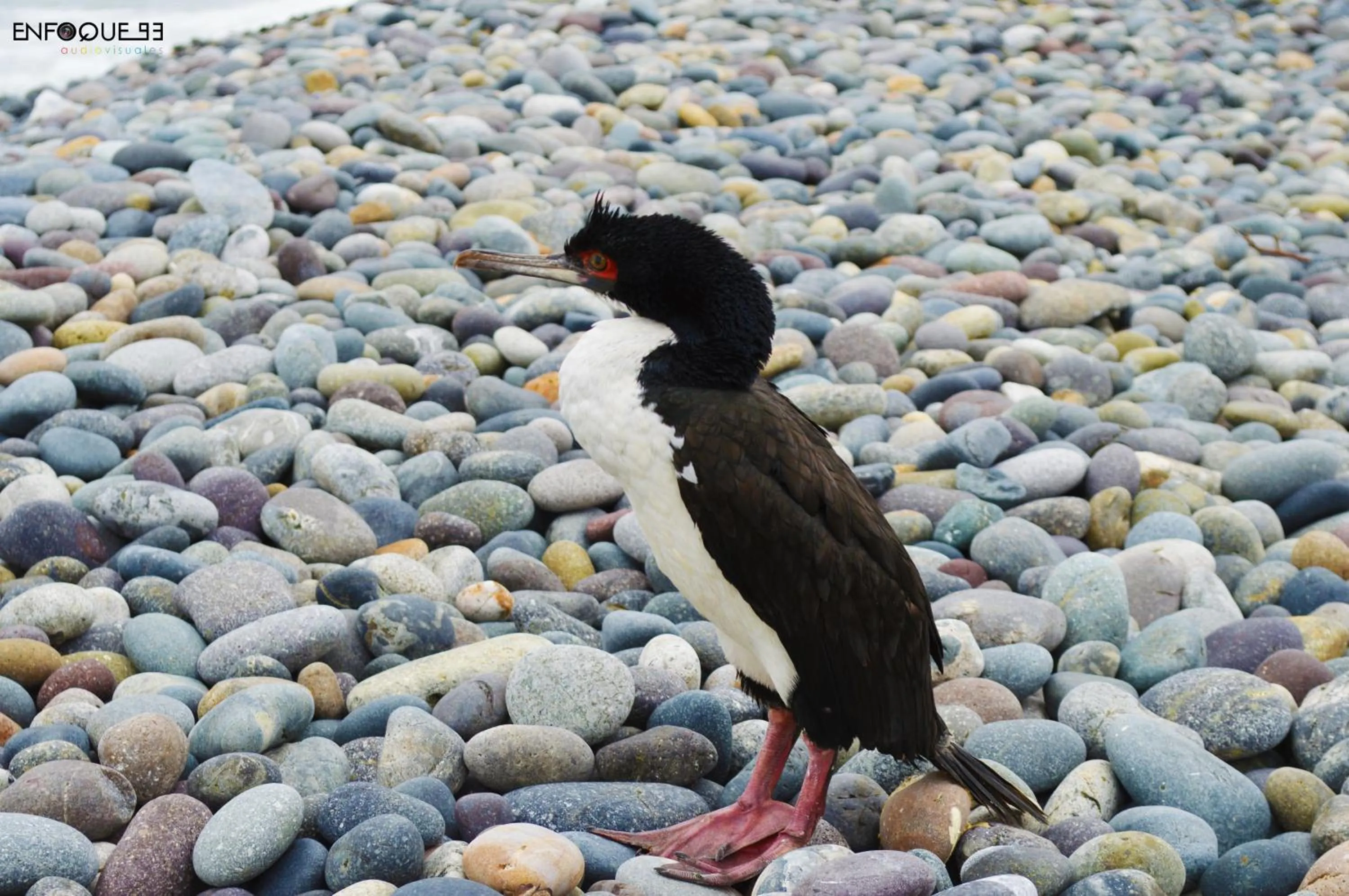 Nearby landmark in Villa La Punta
