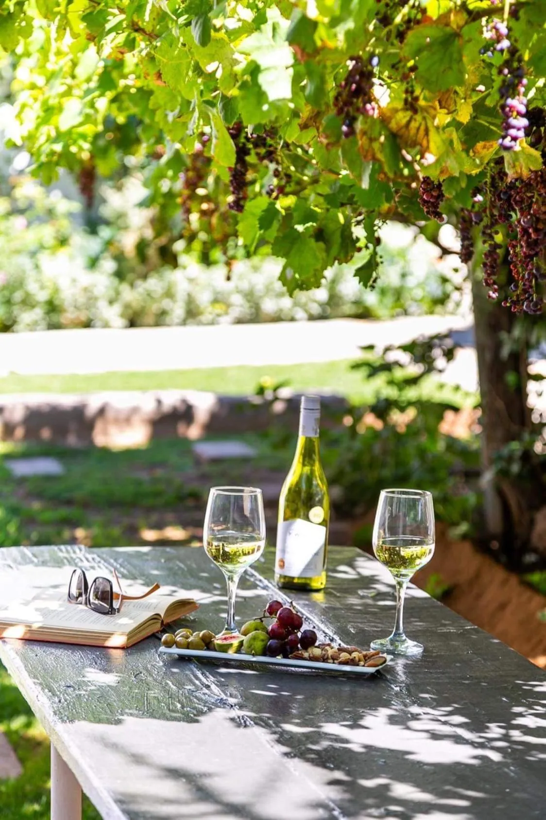 Garden in Boutique Guesthouse Hanover