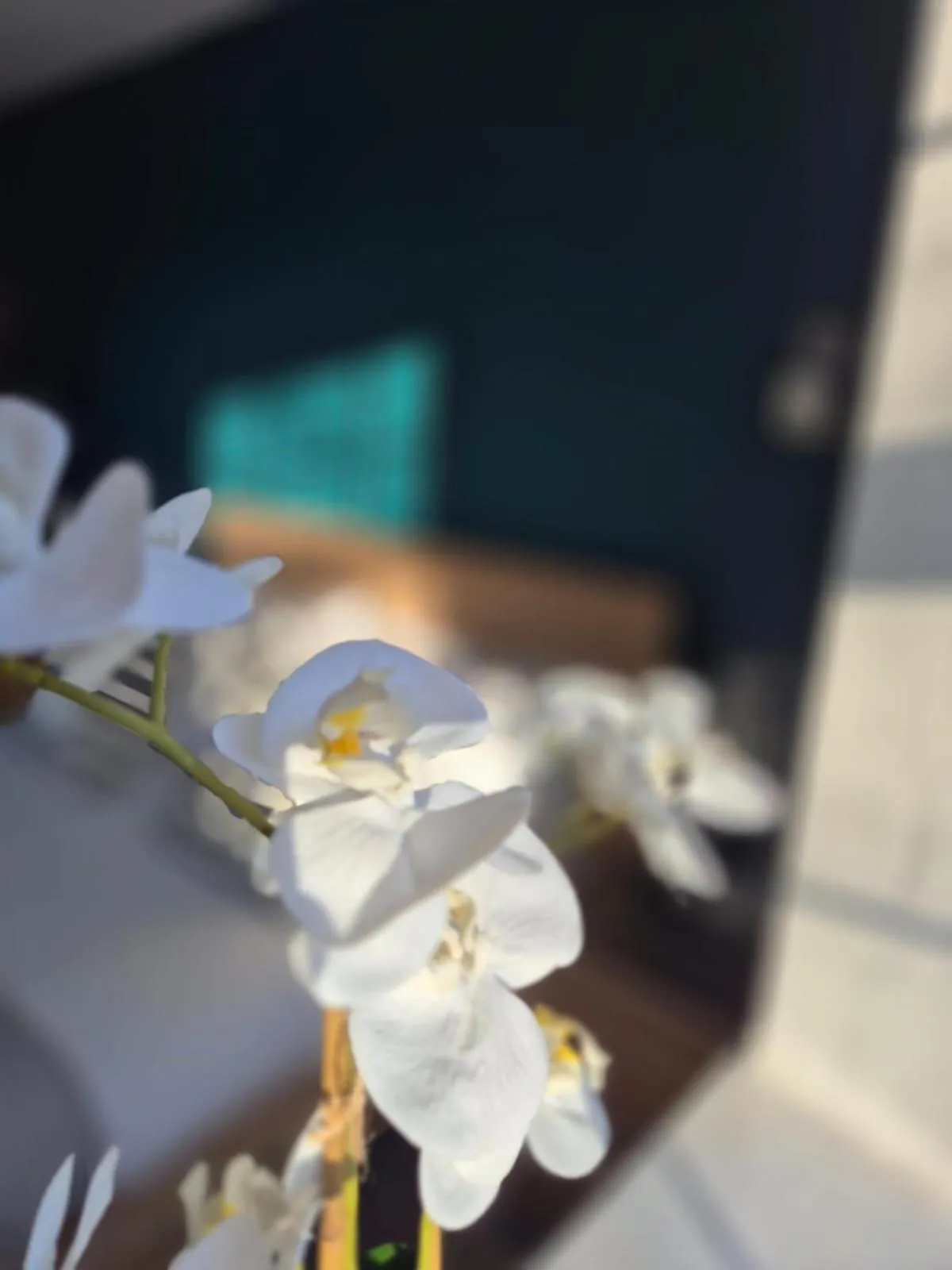 Decorative detail in Quarrie House