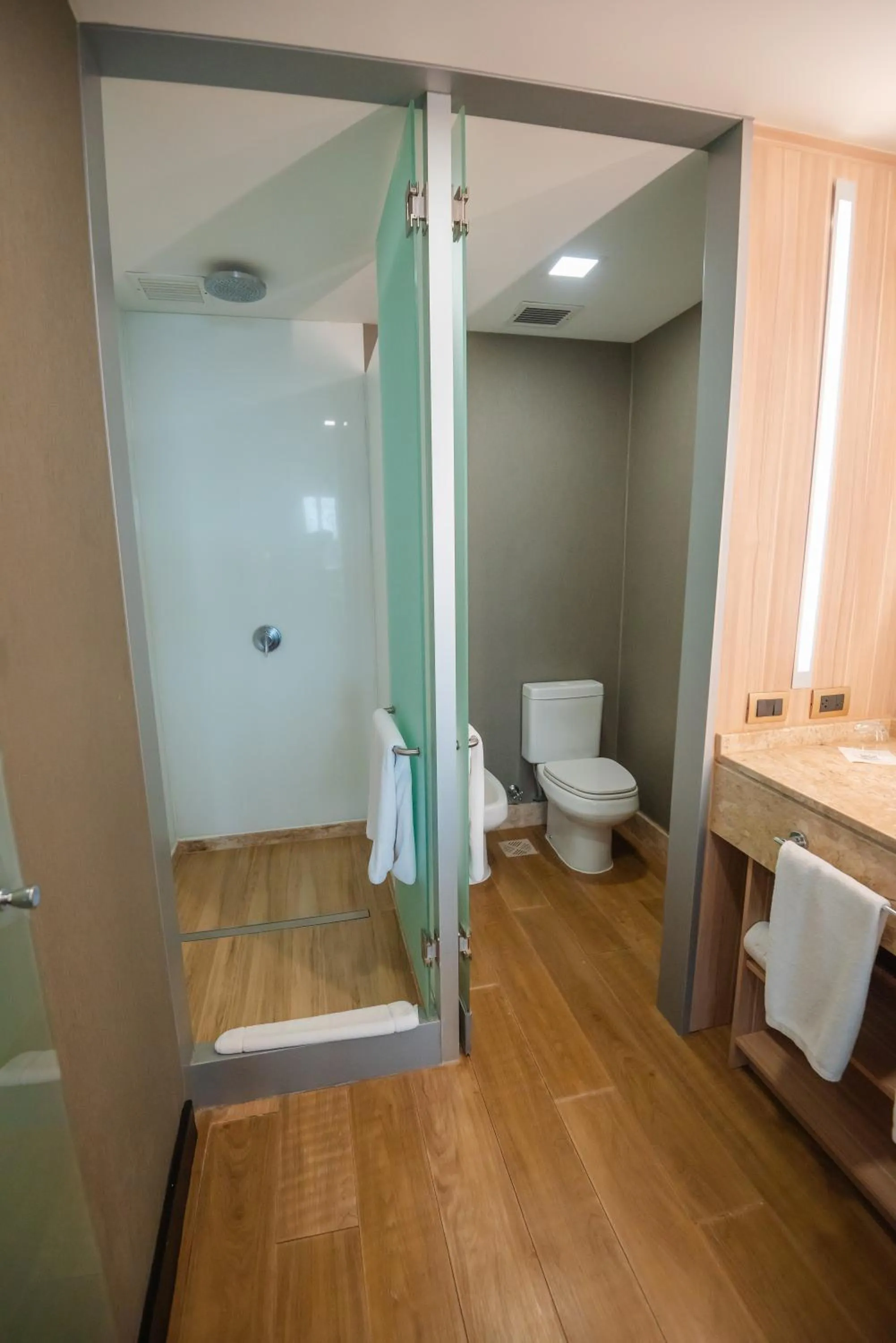 Savoy Hotel Encarnación