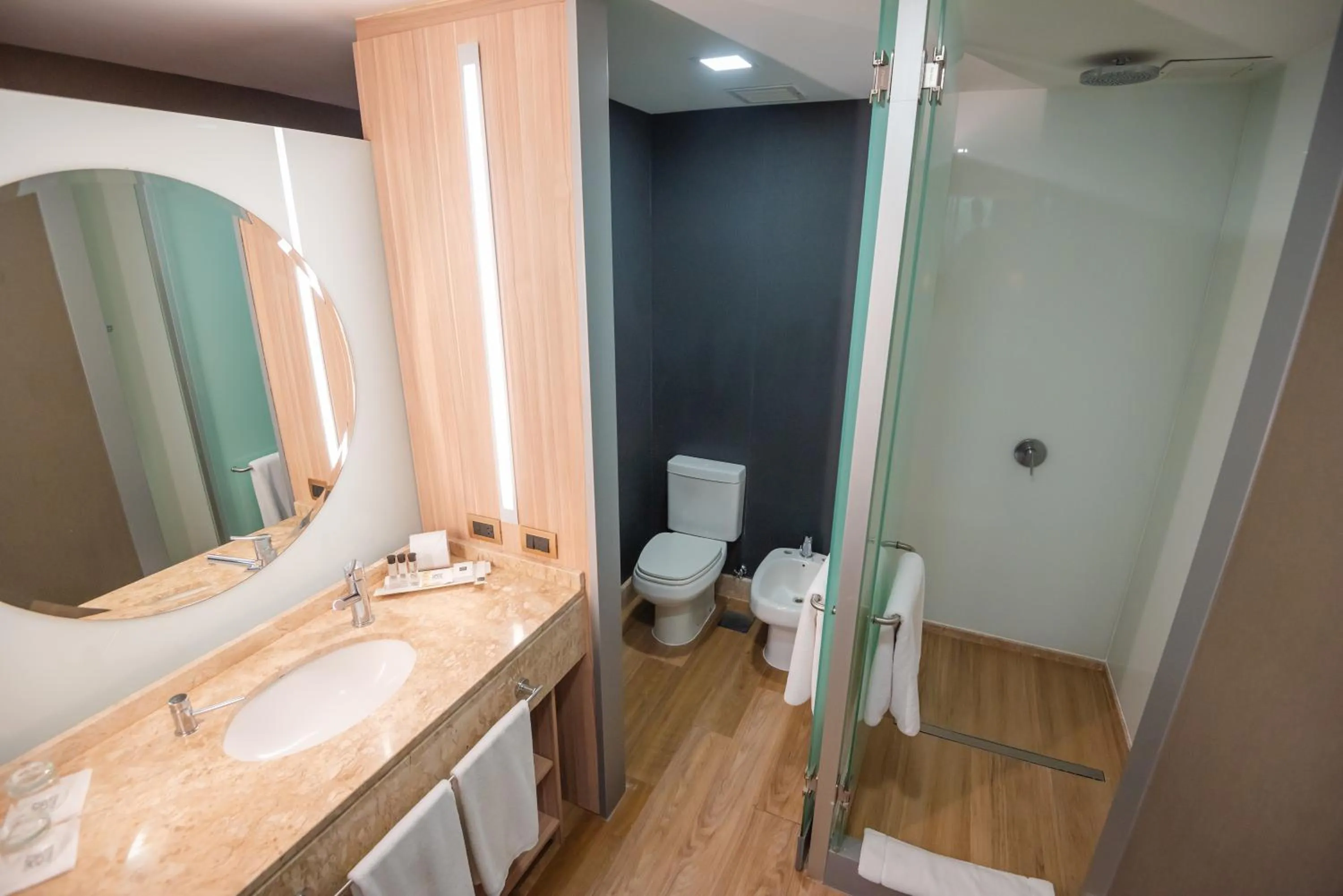 Savoy Hotel Encarnación