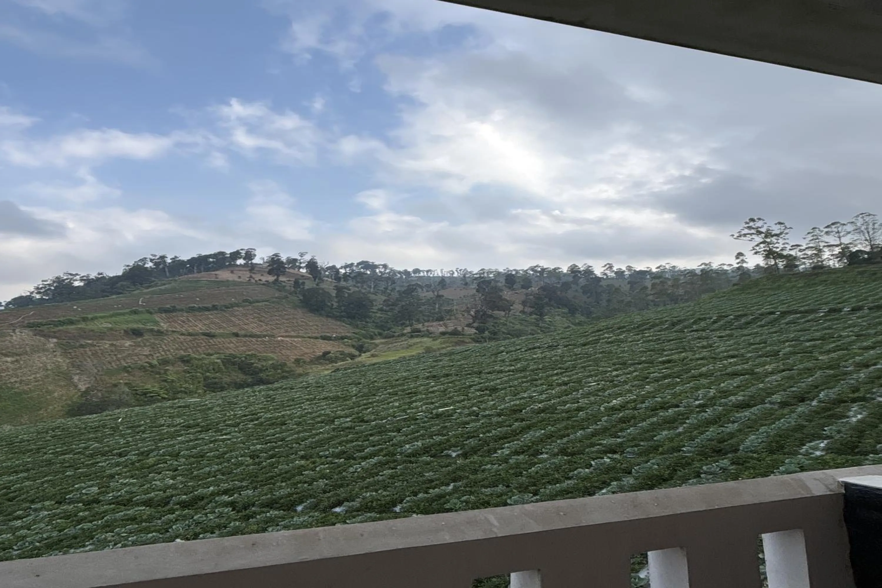 Mountain view in Puncak Darajat Highland