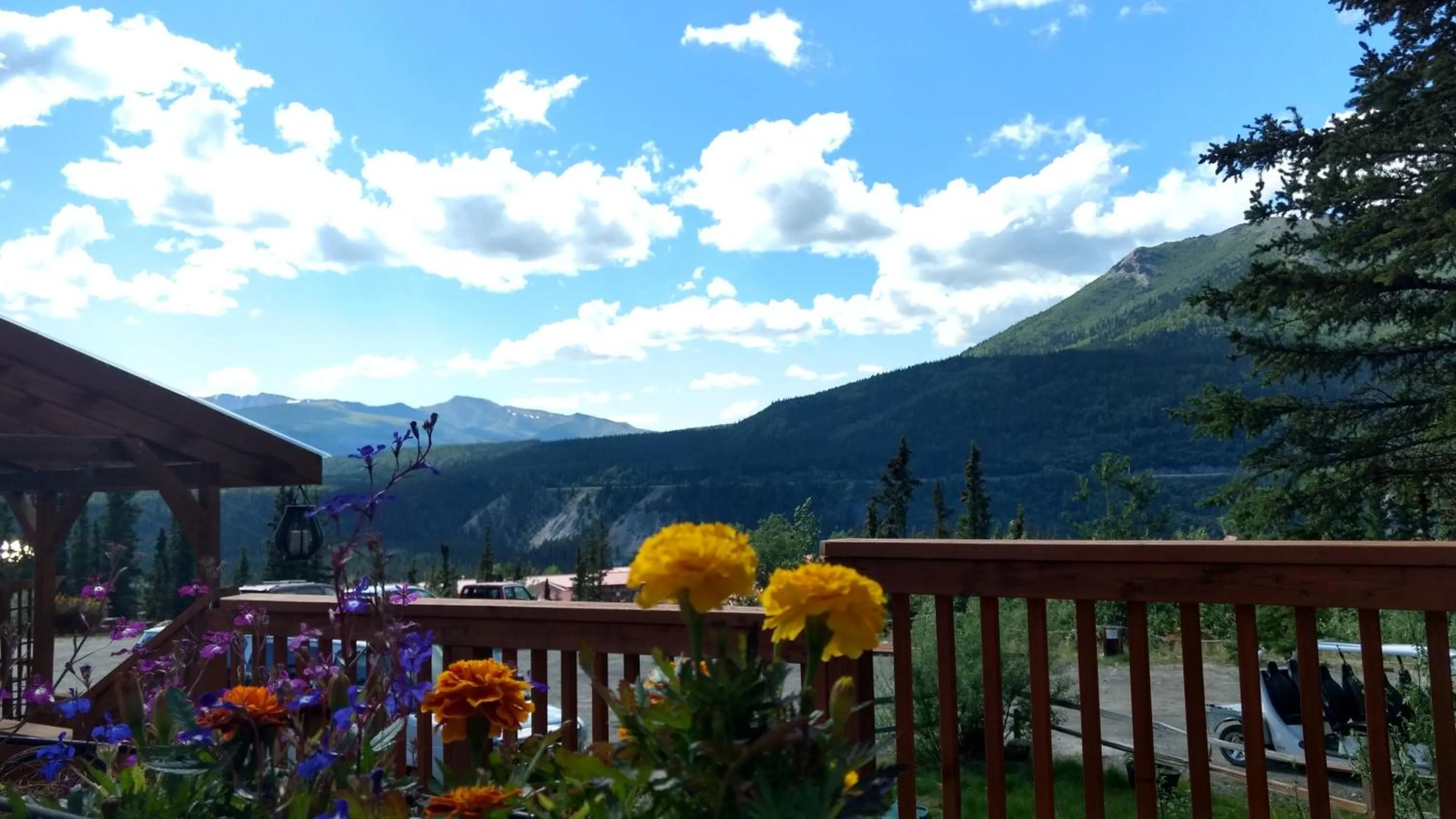 Landmark view in Denali Crow's Nest Cabins