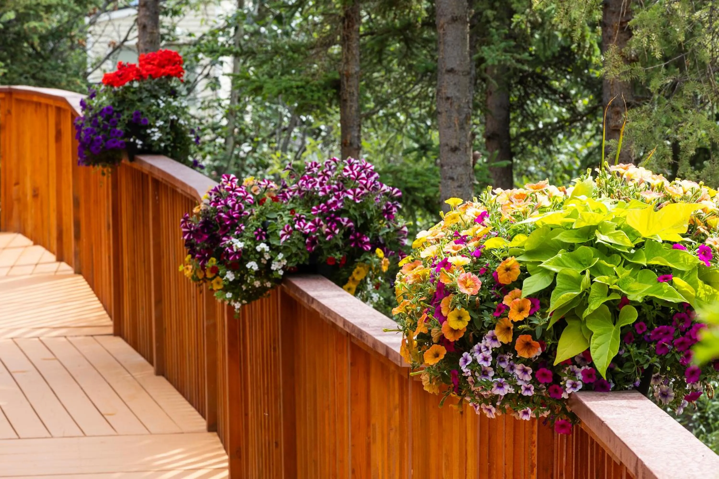 Garden in Denali Crow's Nest Cabins