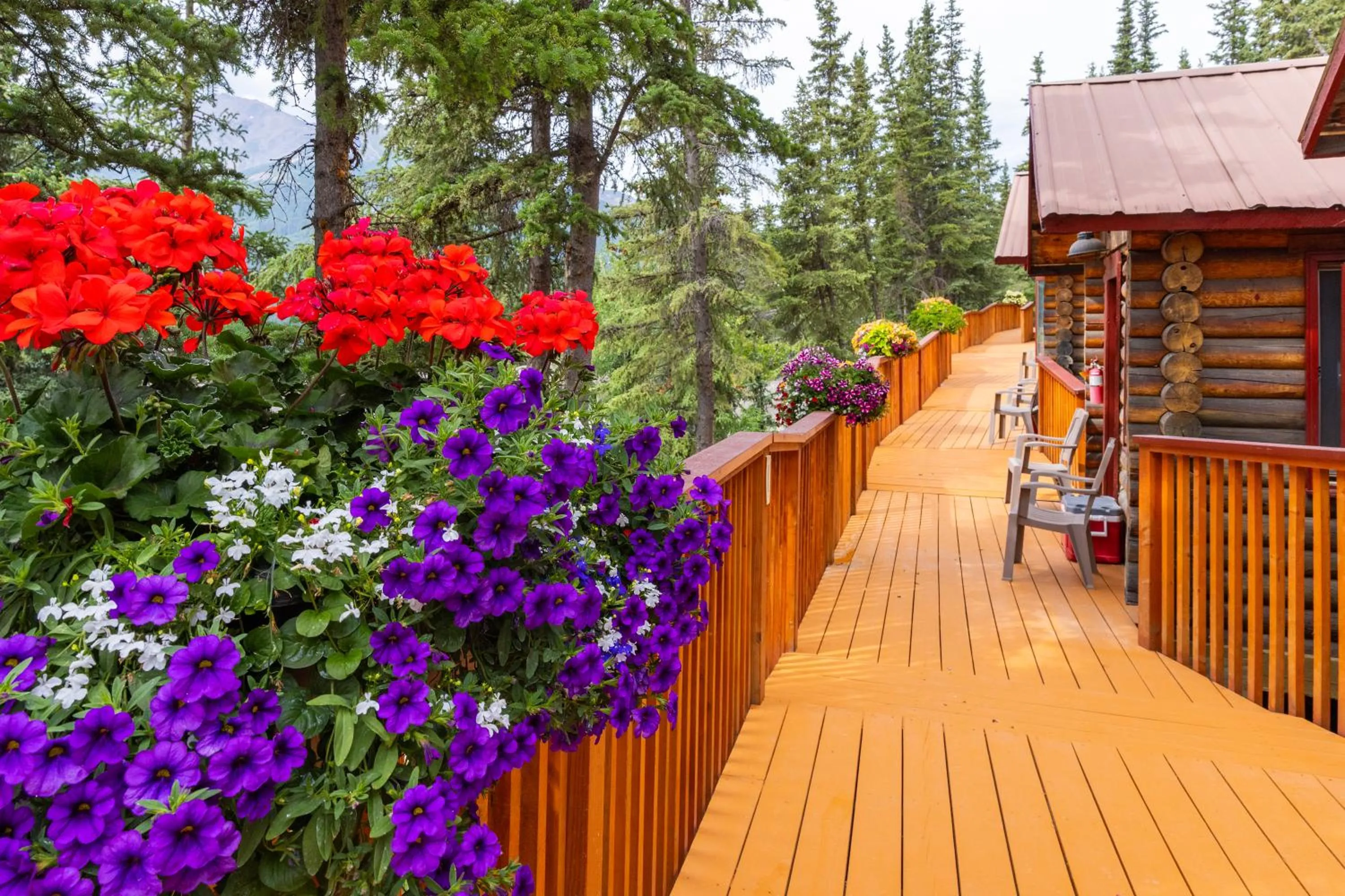 Balcony/Terrace in Denali Crow's Nest Cabins