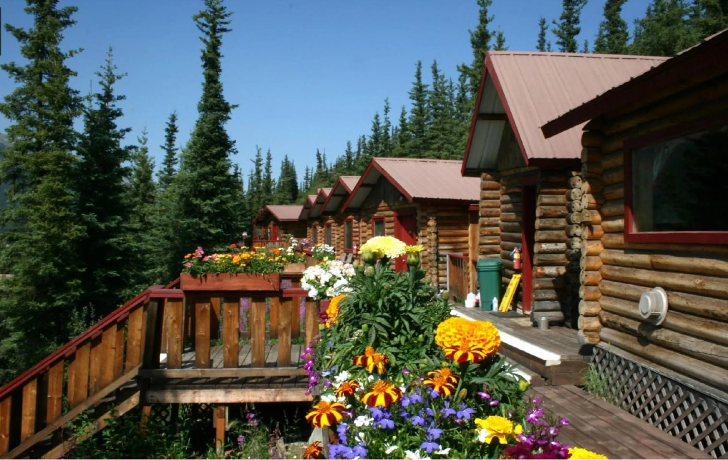 Property building in Denali Crow's Nest Cabins