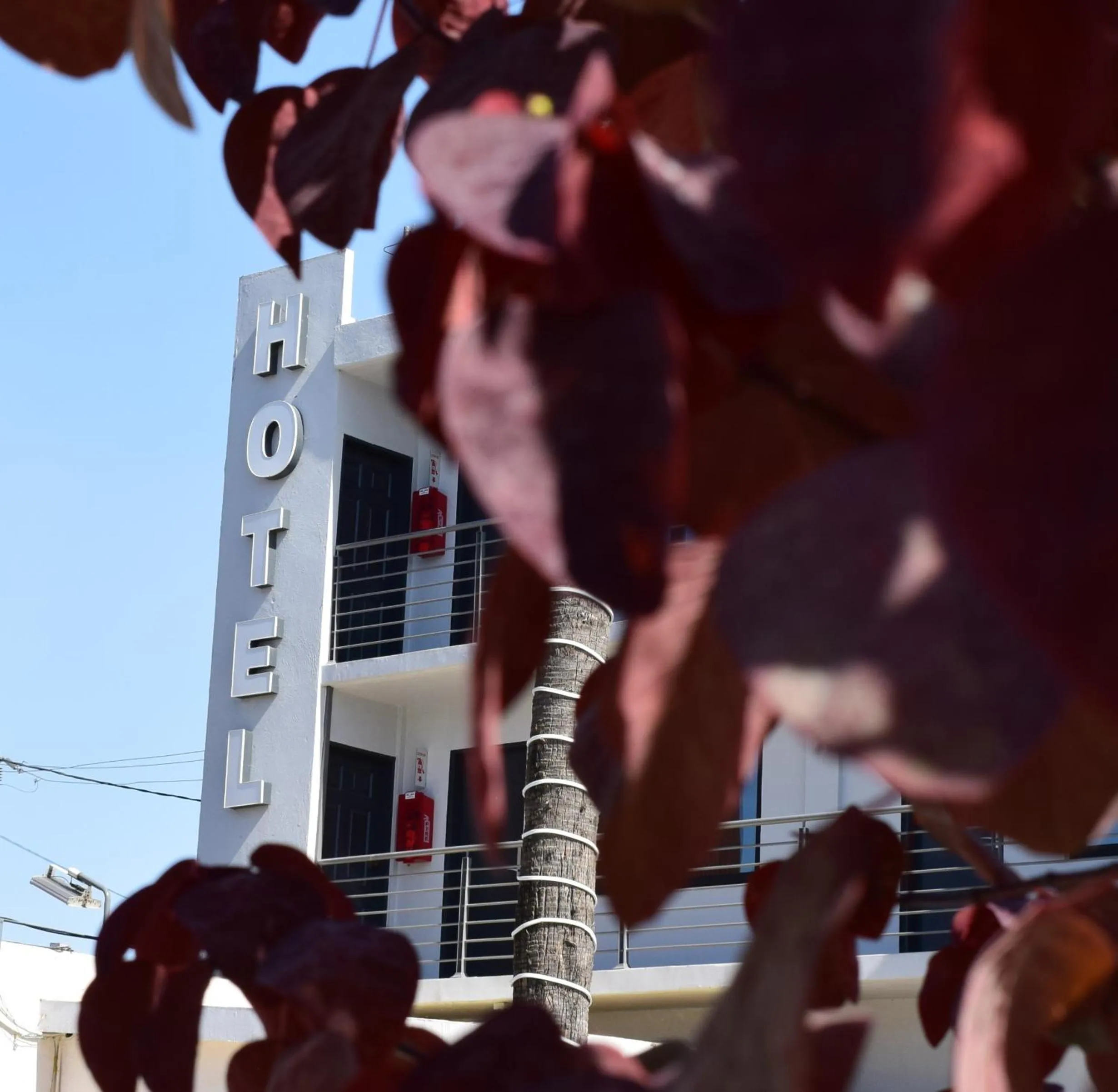 Facade/entrance in Hotel Pacific