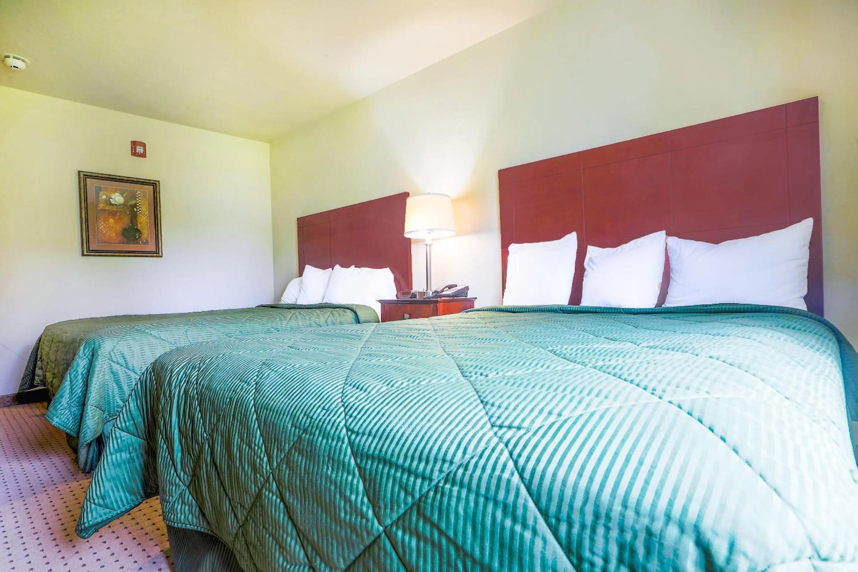 Bedroom in Evansville Inn & Suites by OYO