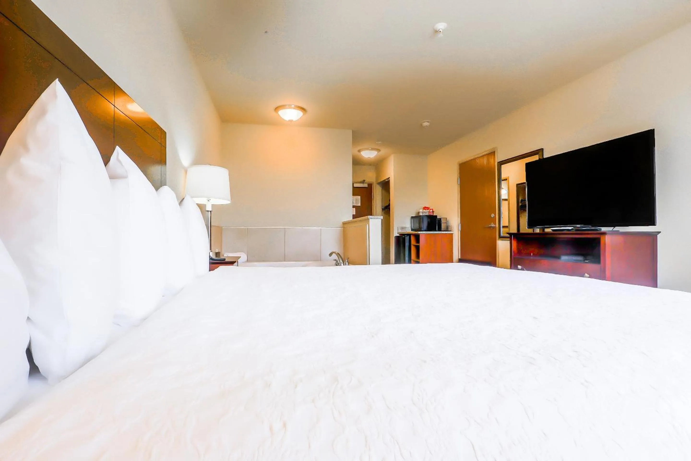 Bedroom in Evansville Inn & Suites by OYO