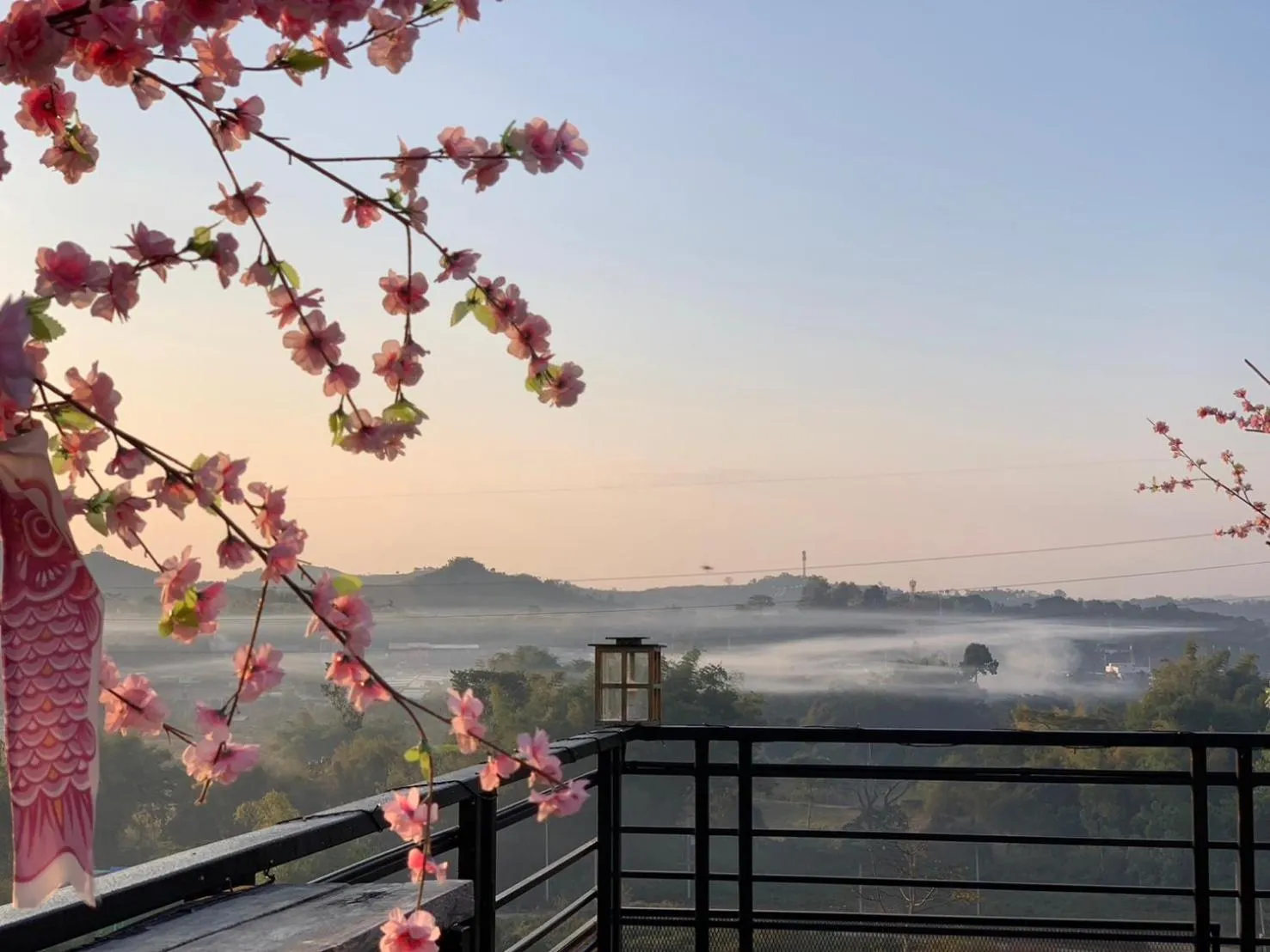 Natural landscape in Sakura Yama Resort ซากุระ ยามะรีสอร์ท