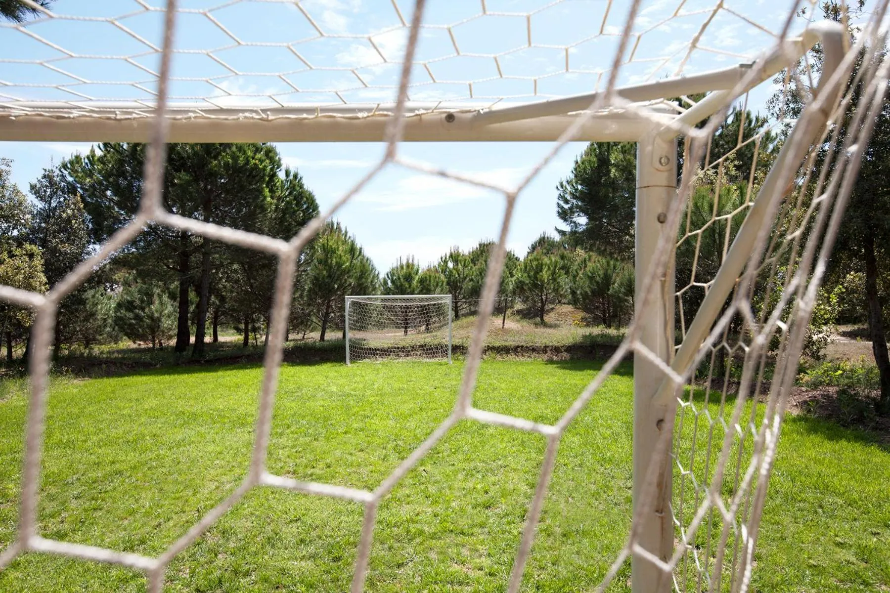 Activities in Aparthotel La Pineta