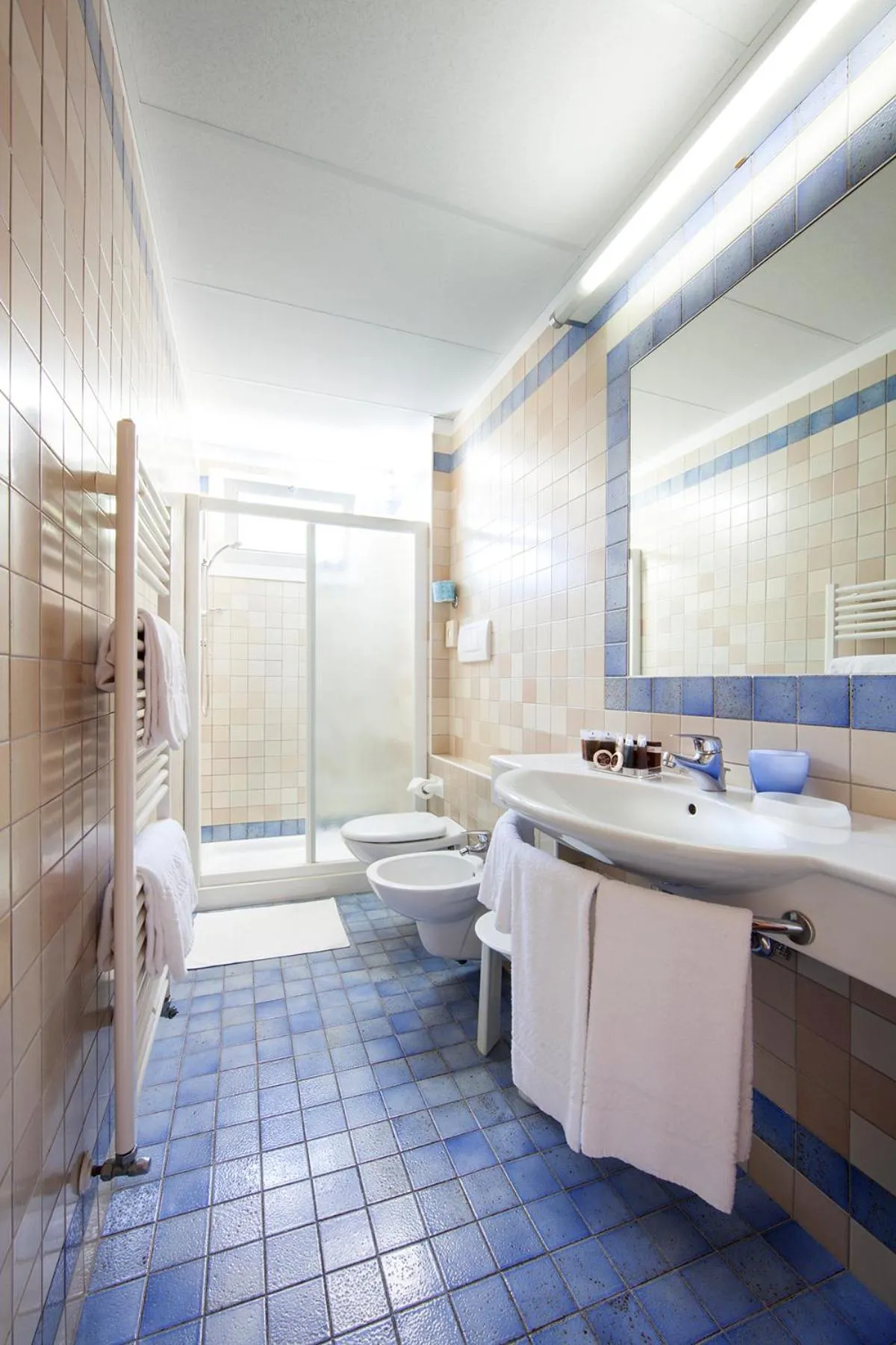 Shower in Aparthotel La Pineta