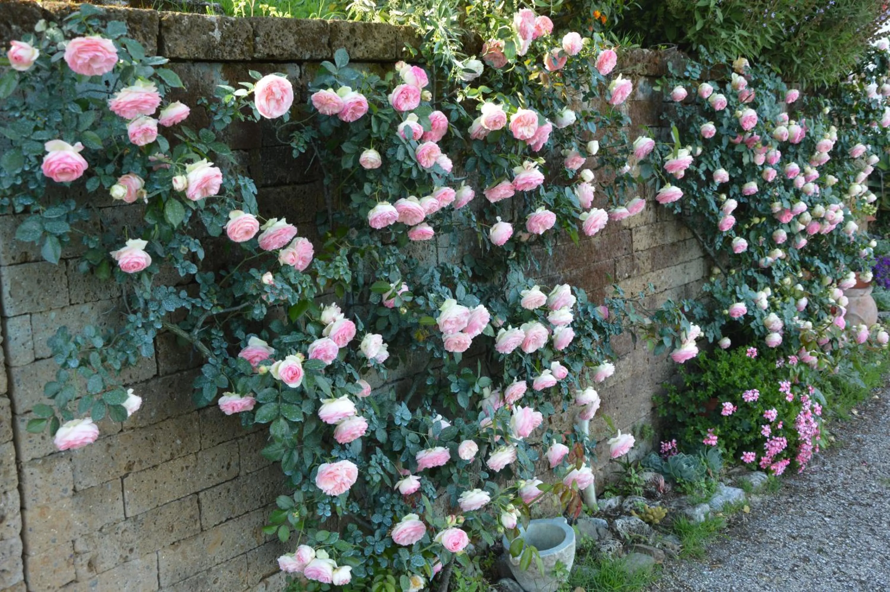 Garden view in B&B Il Trebbio