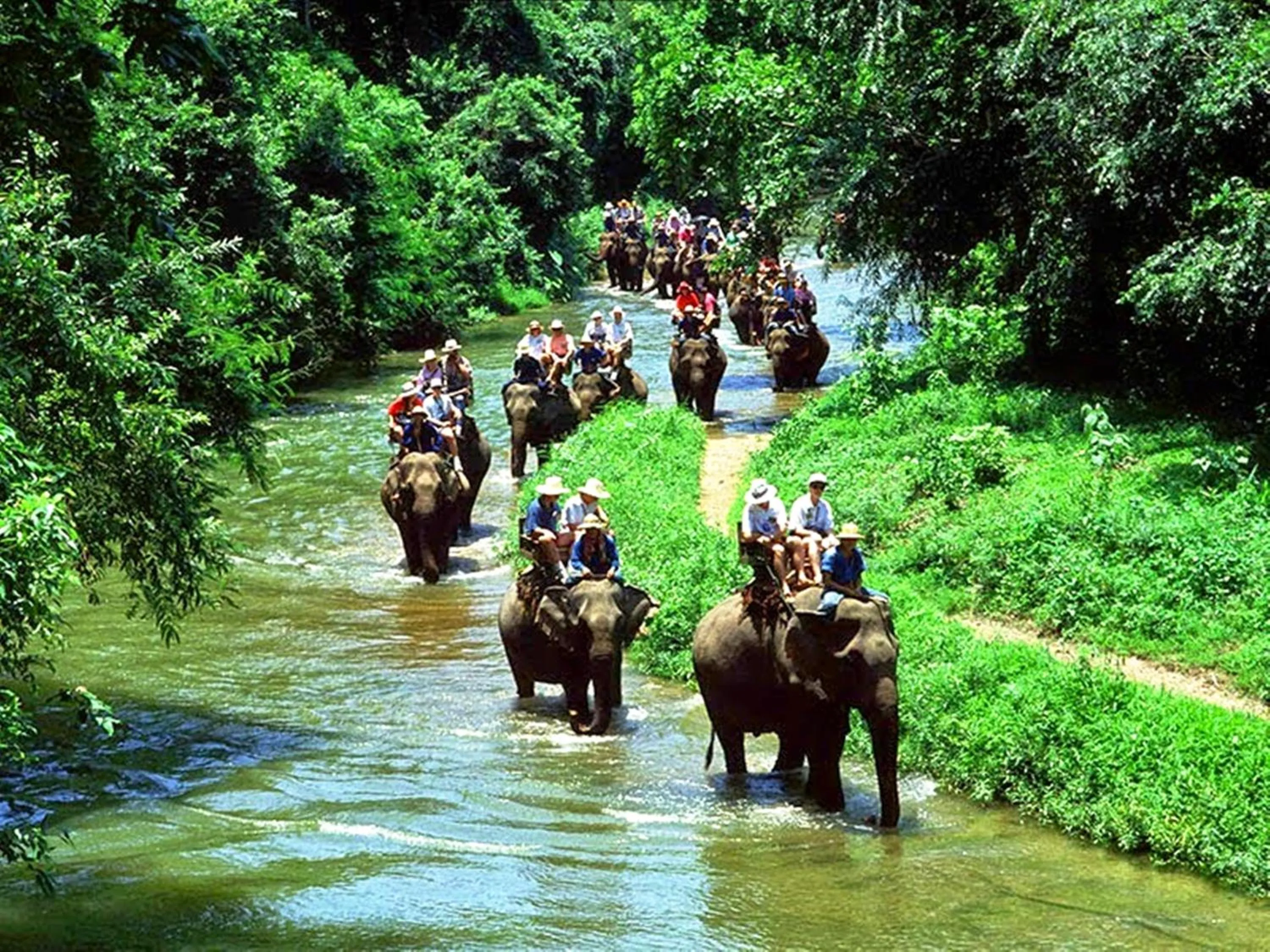 Horse-riding in O k Chawkoh Bungalow